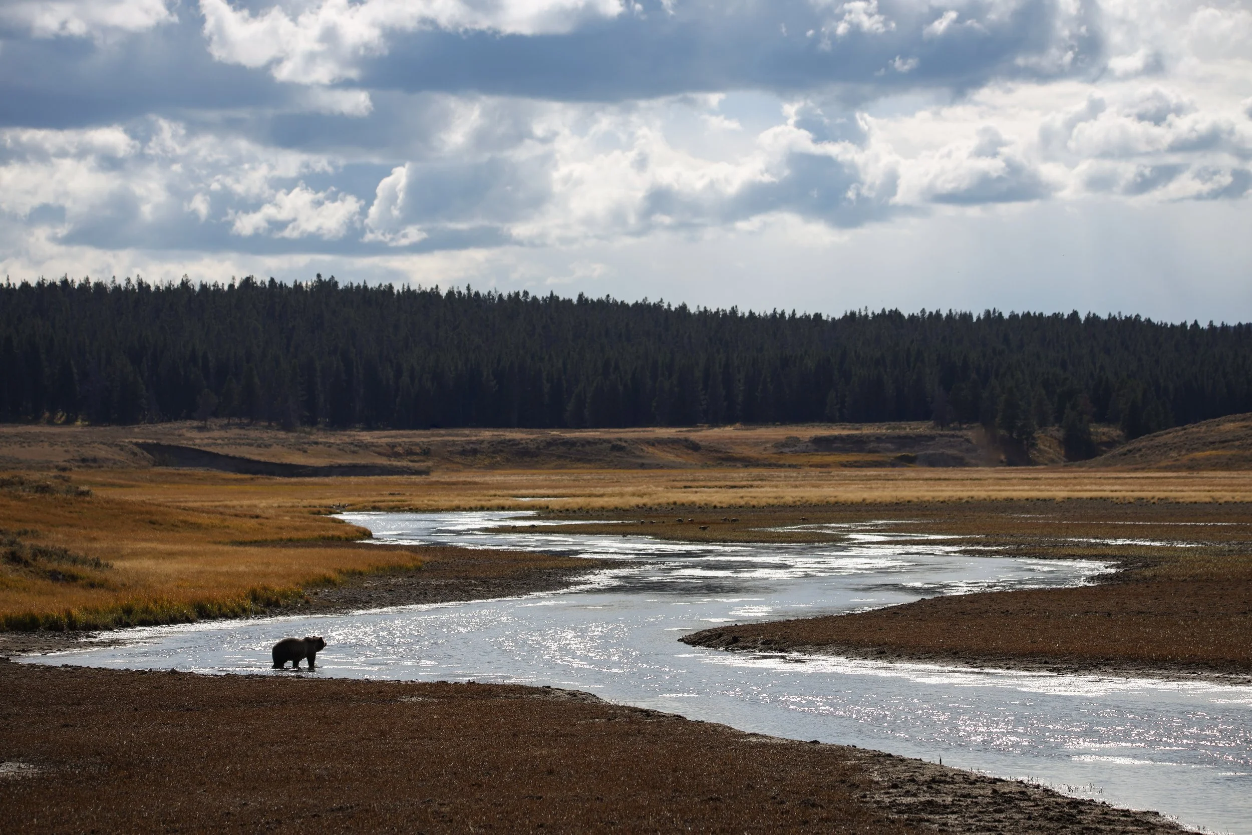 2025 - yellowstone & tetons (23).JPEG
