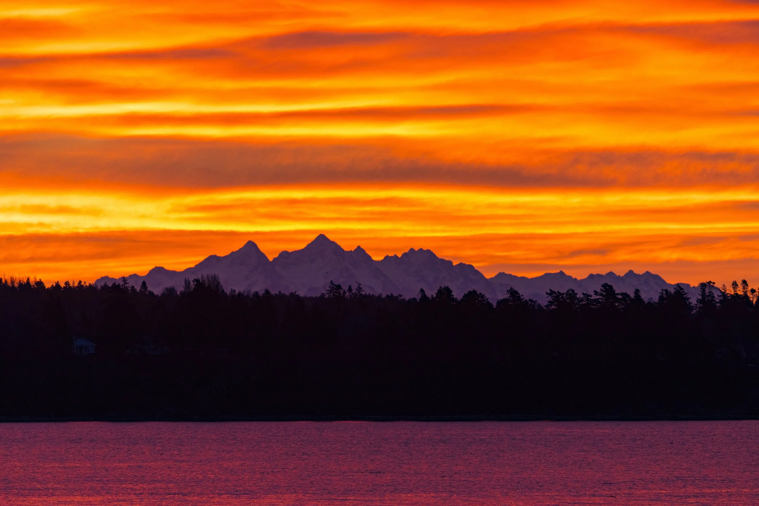 2023 - BC winter (4).JPEG