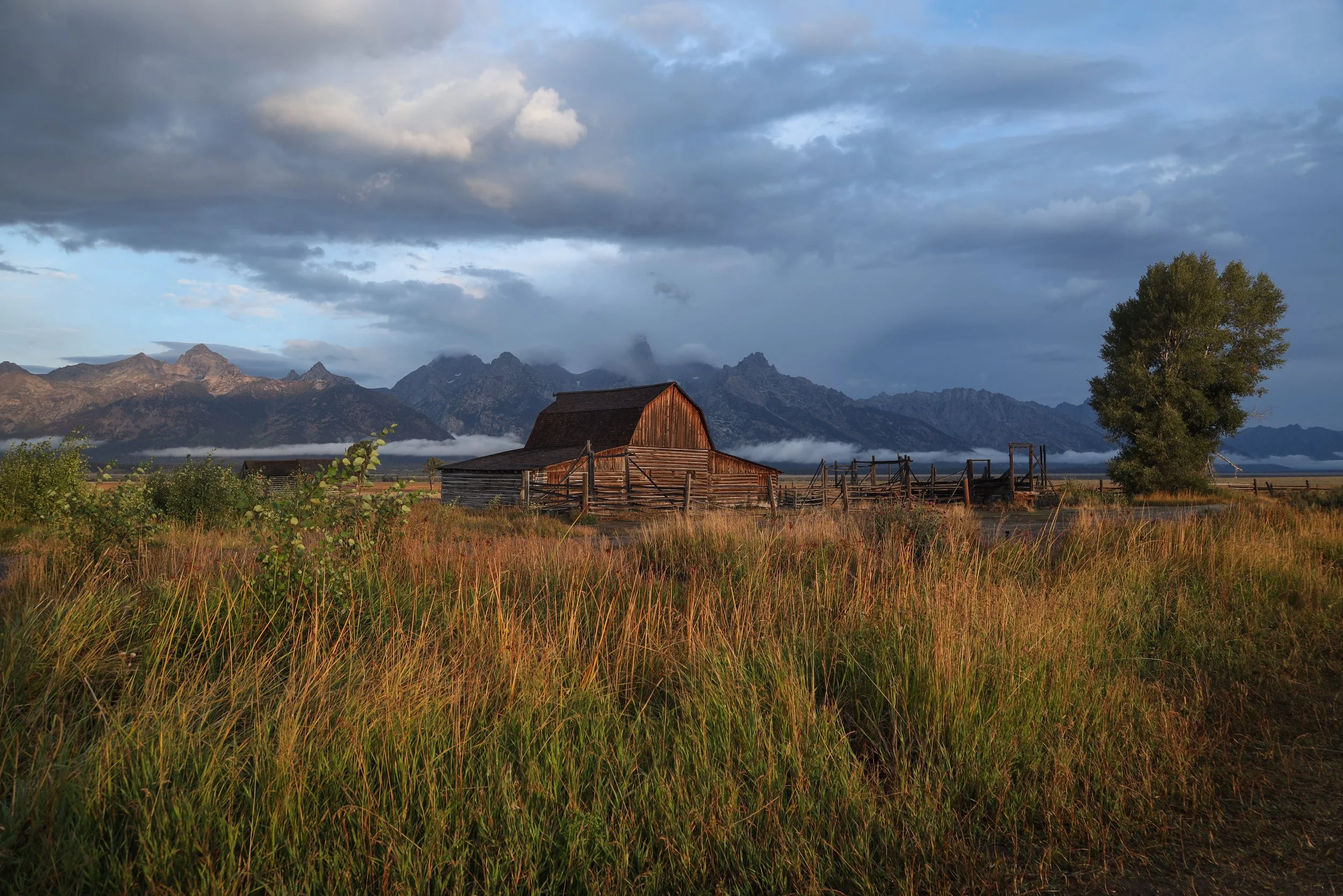 2025 - yellowstone & tetons (80).JPEG