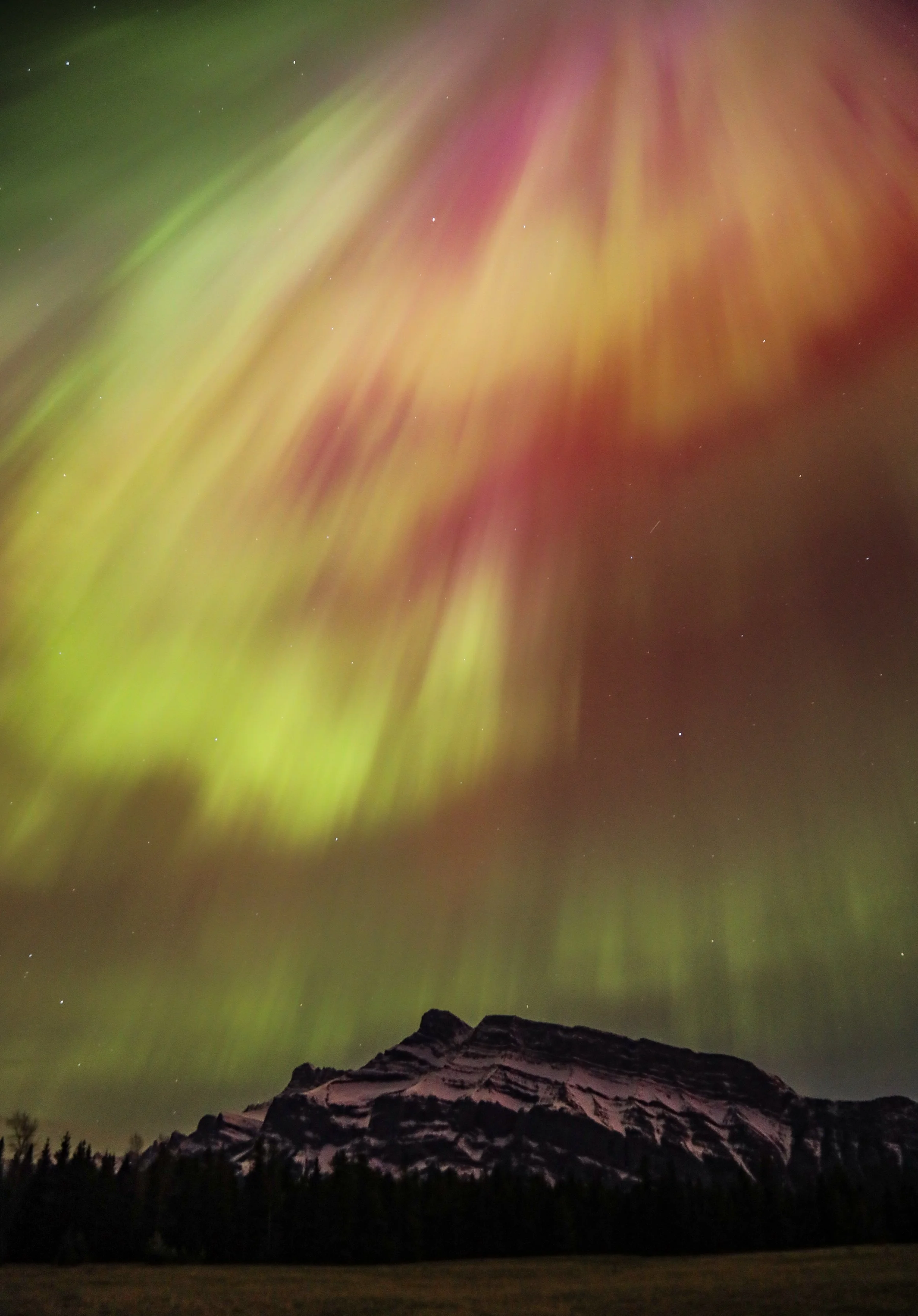 2024 - Alberta Rockies (6).JPEG