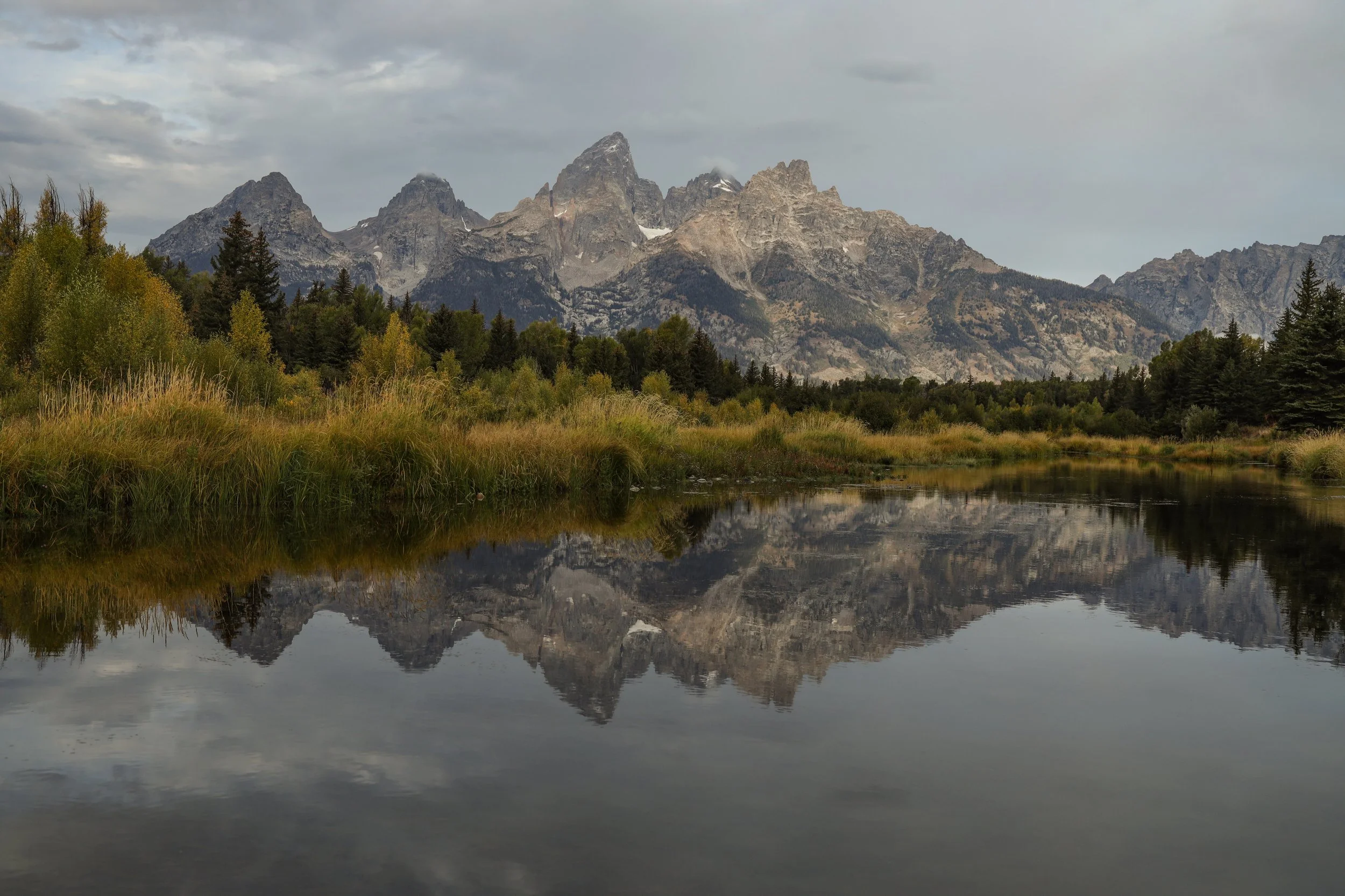 2025 - yellowstone & tetons (76).JPEG