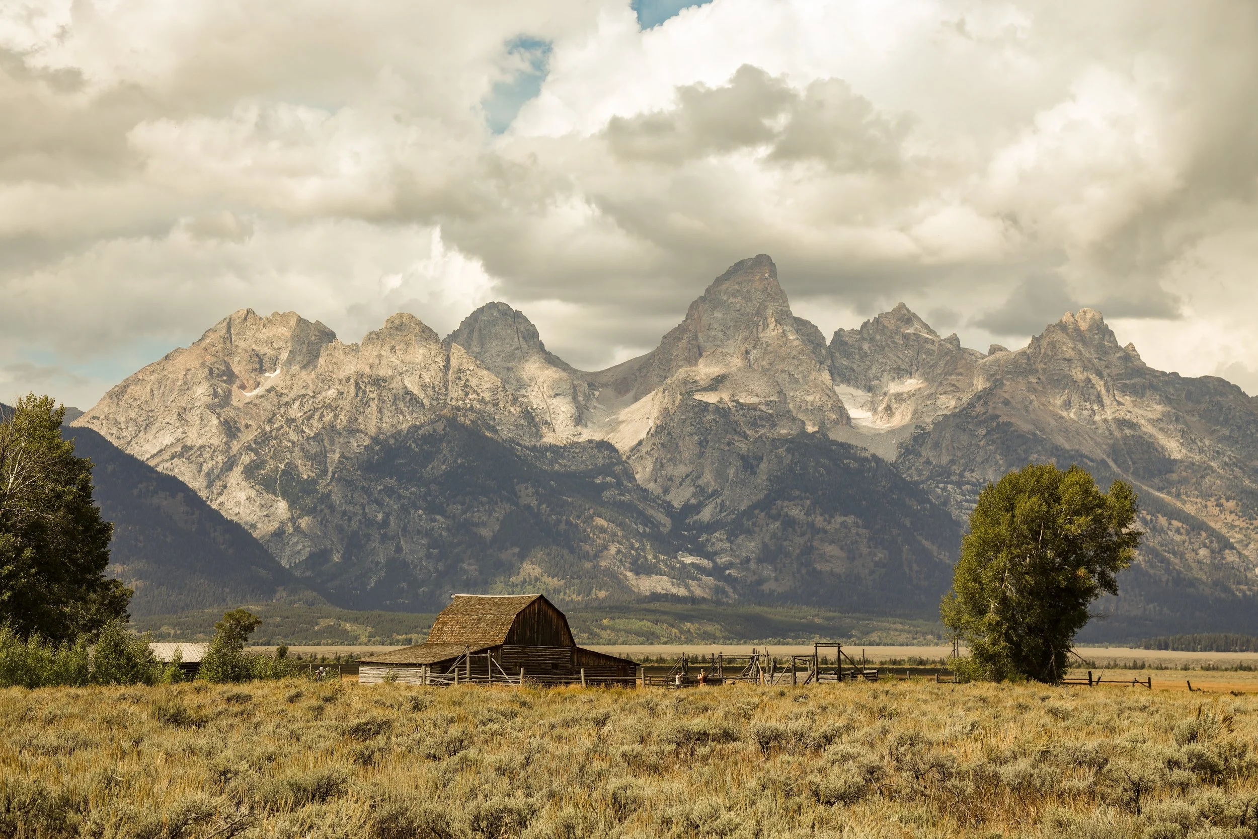 2025 - yellowstone & tetons (65).JPEG