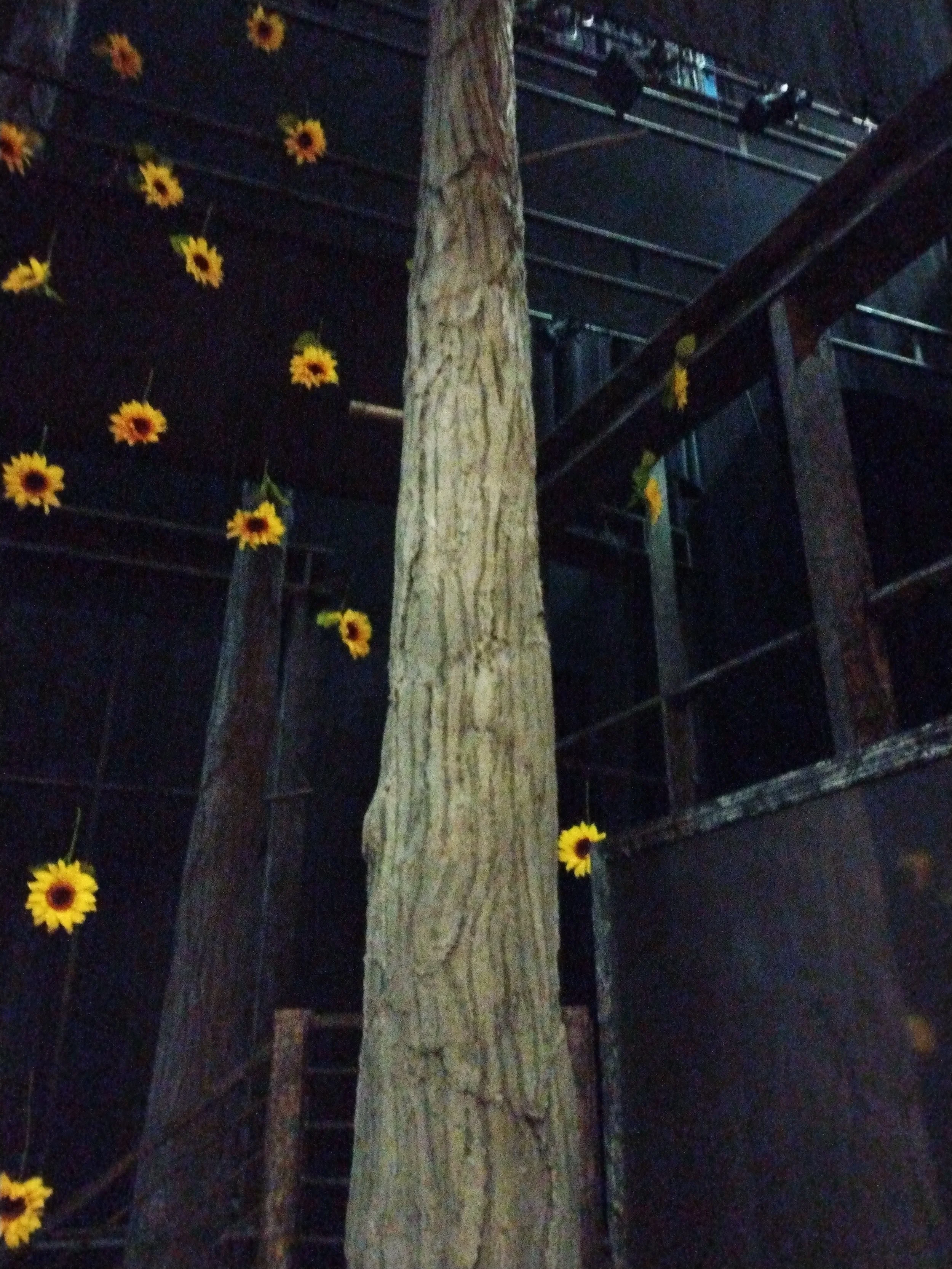 IMG_20240430_084909237.jpg