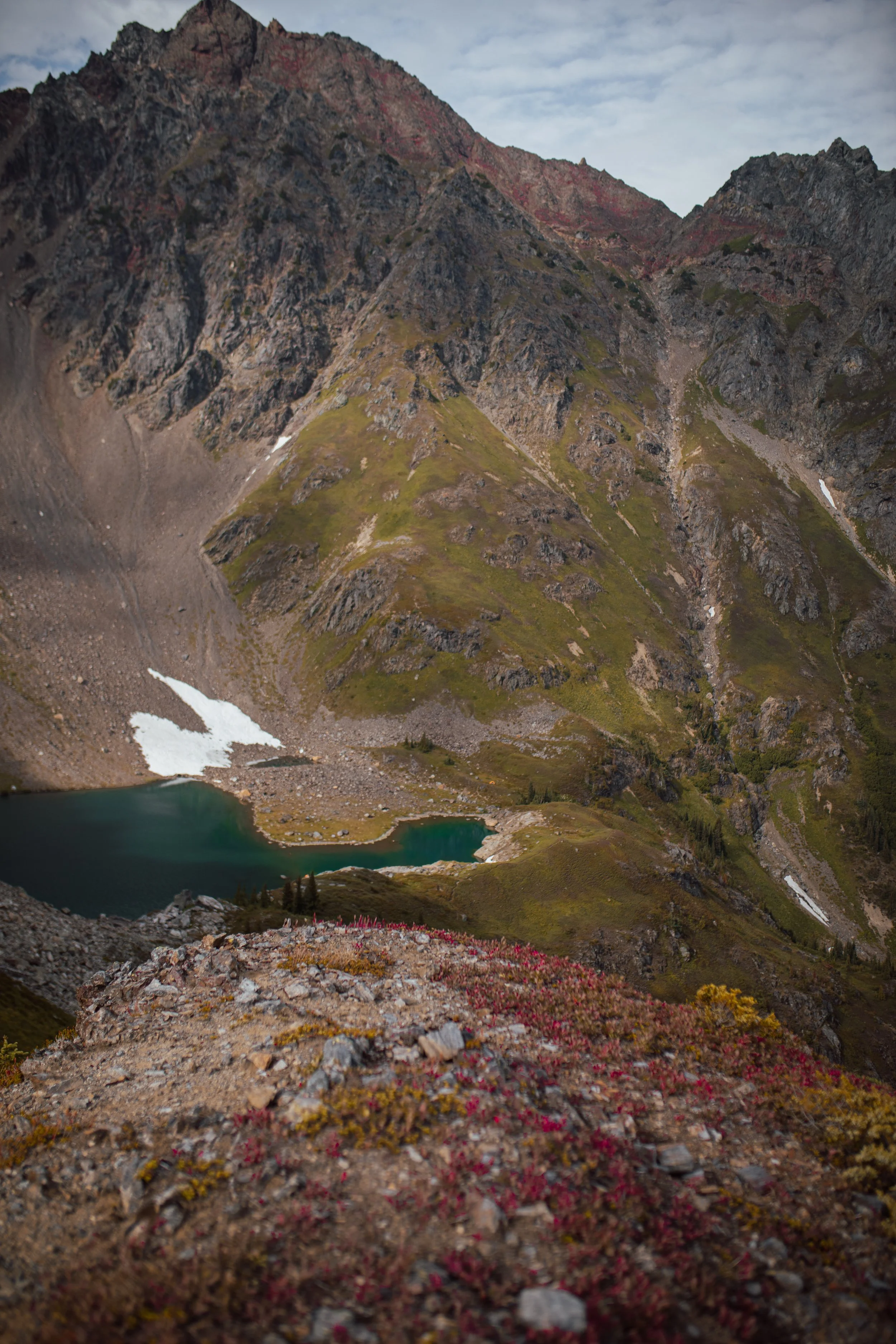 8F7DC7C4-BBAA-4F03-BC3F-6F702F10B249ROLL8917 (2023-07-31T01_12_06.336).jpeg