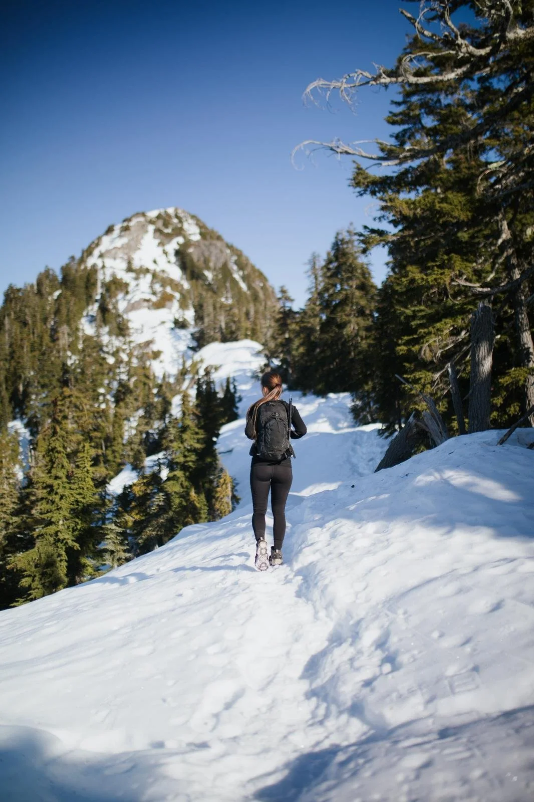 WhatsApp Image 2026-02-21 at 10.40.50 AM-4.jpeg