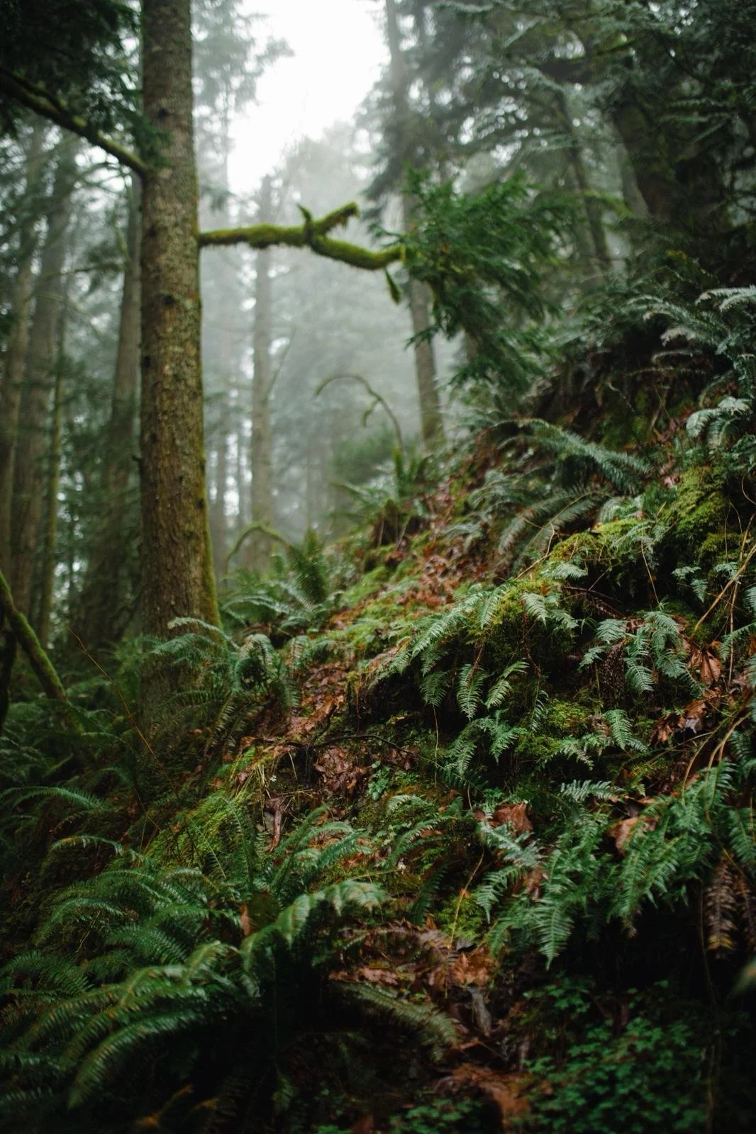 WhatsApp Image 2026-03-22 at 6.41.21 PM.jpeg