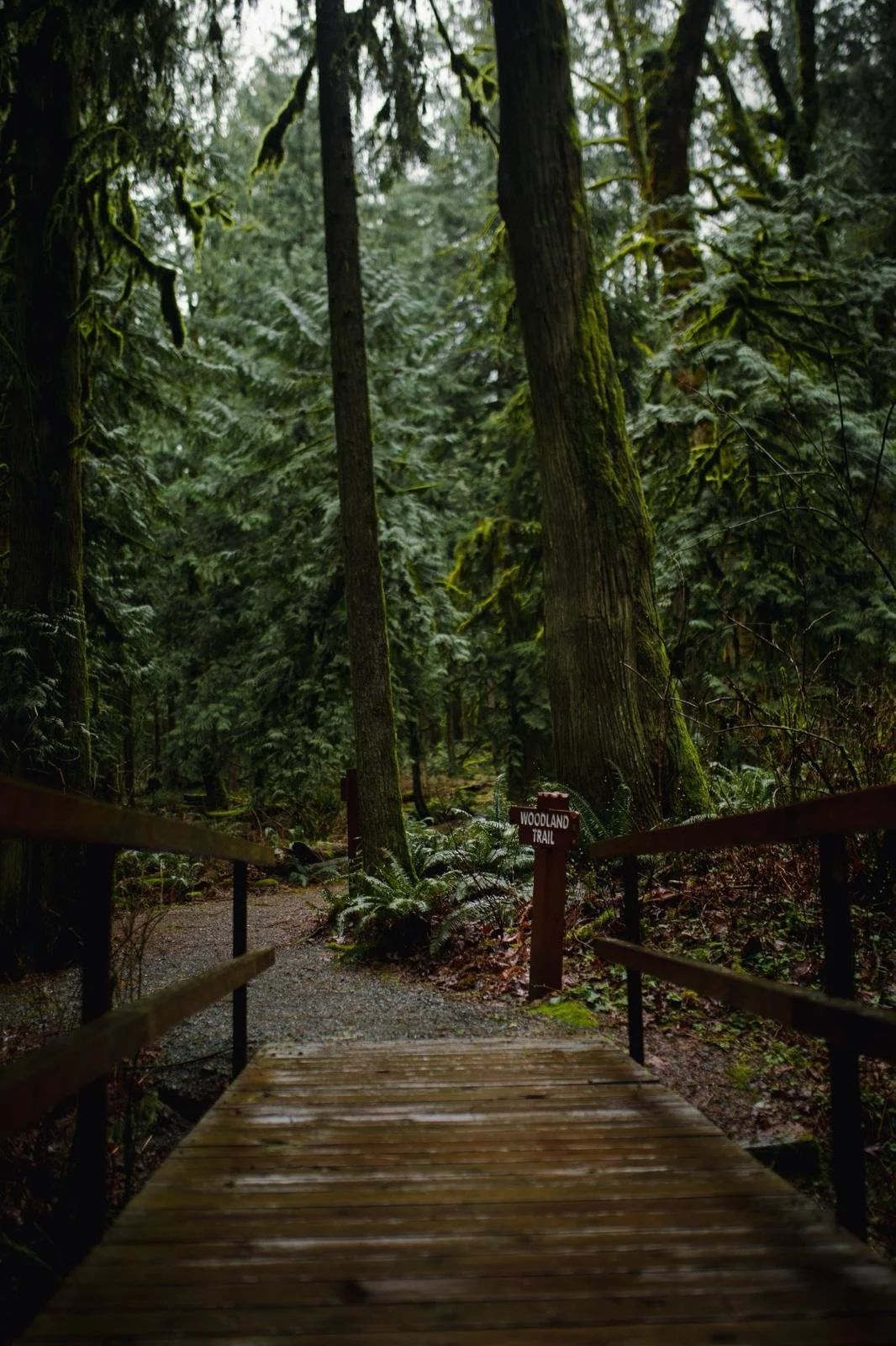 WhatsApp Image 2026-03-22 at 6.41.22 PM-2.jpeg