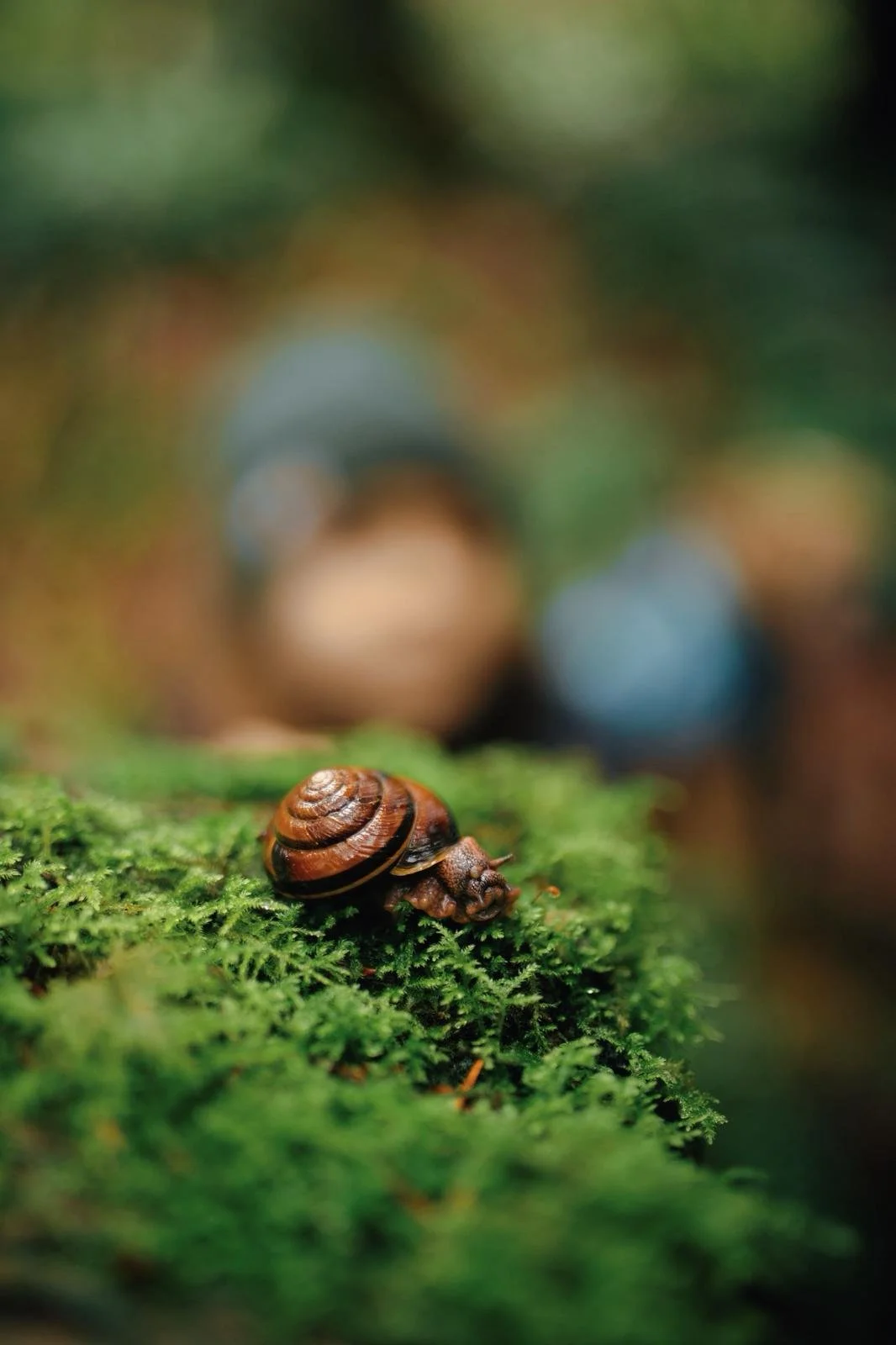 WhatsApp Image 2026-03-21 at 12.39.33 PM-3.jpeg