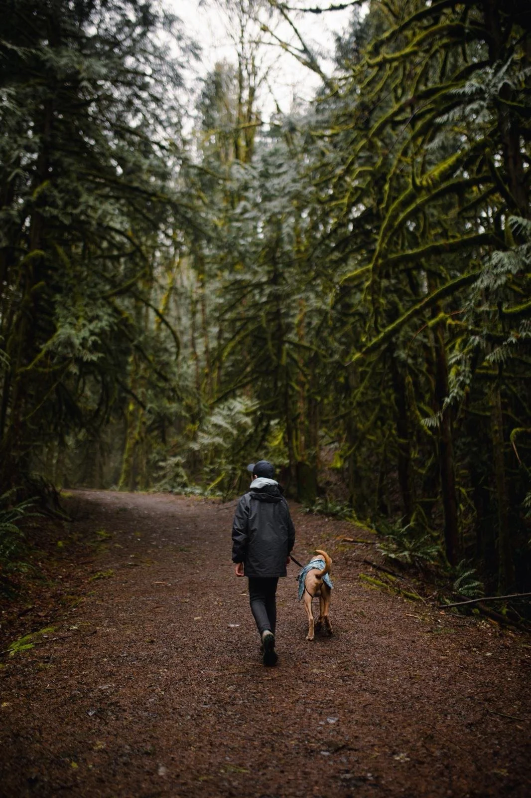 WhatsApp Image 2026-03-21 at 12.39.33 PM-4.jpeg