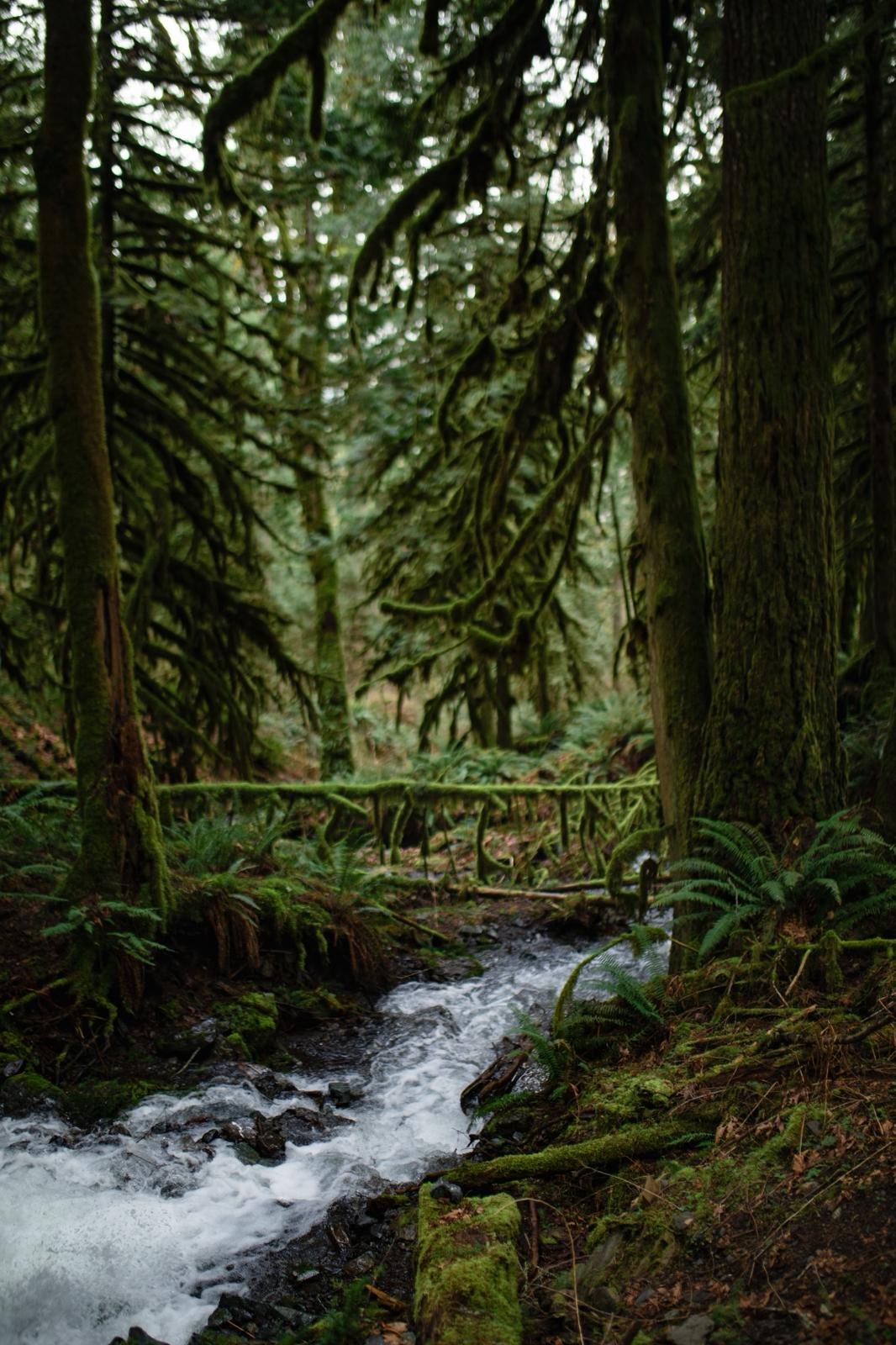 WhatsApp Image 2026-03-23 at 7.50.56 PM-3.jpeg