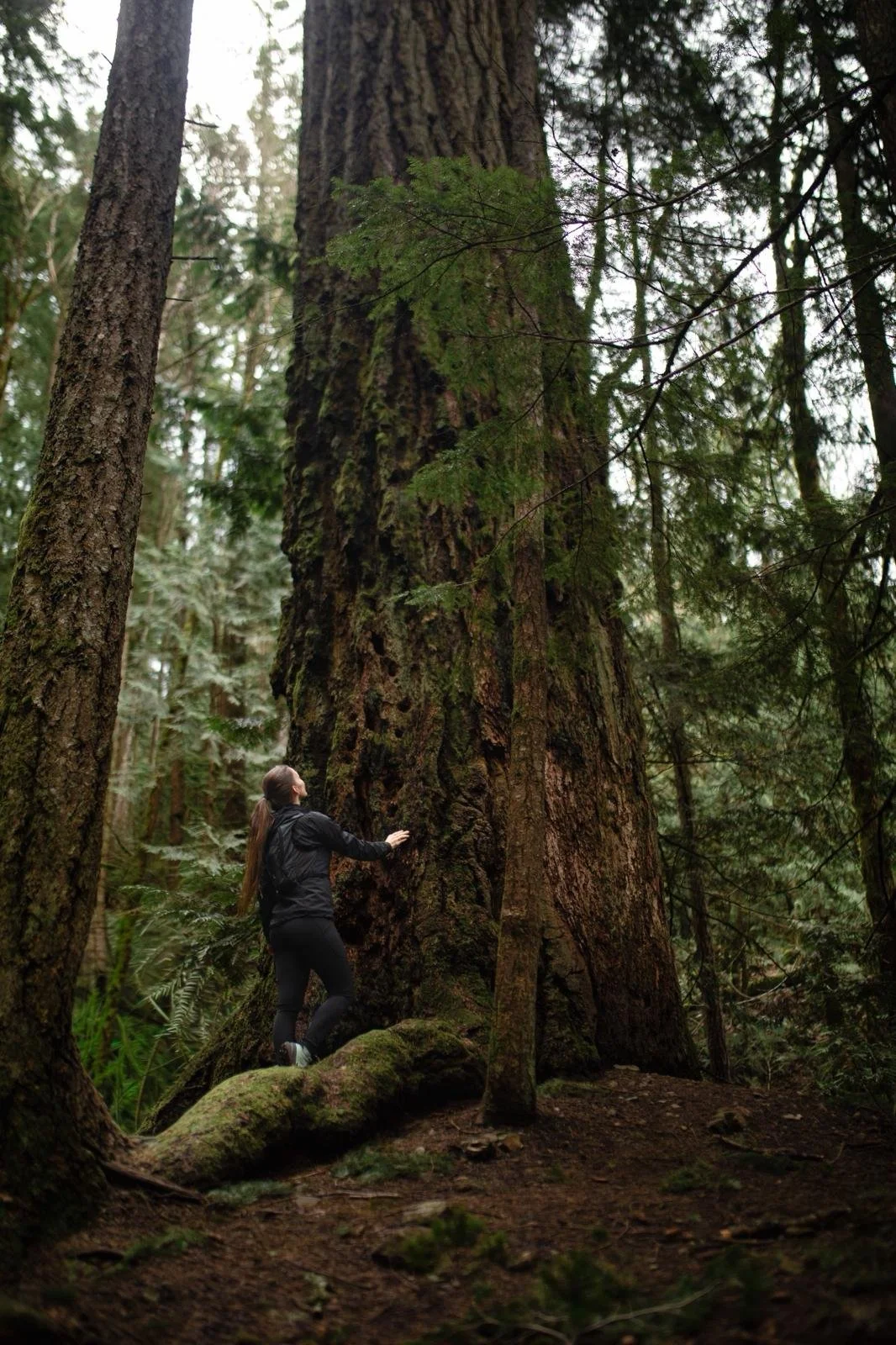 WhatsApp Image 2026-03-23 at 7.50.56 PM-4.jpeg