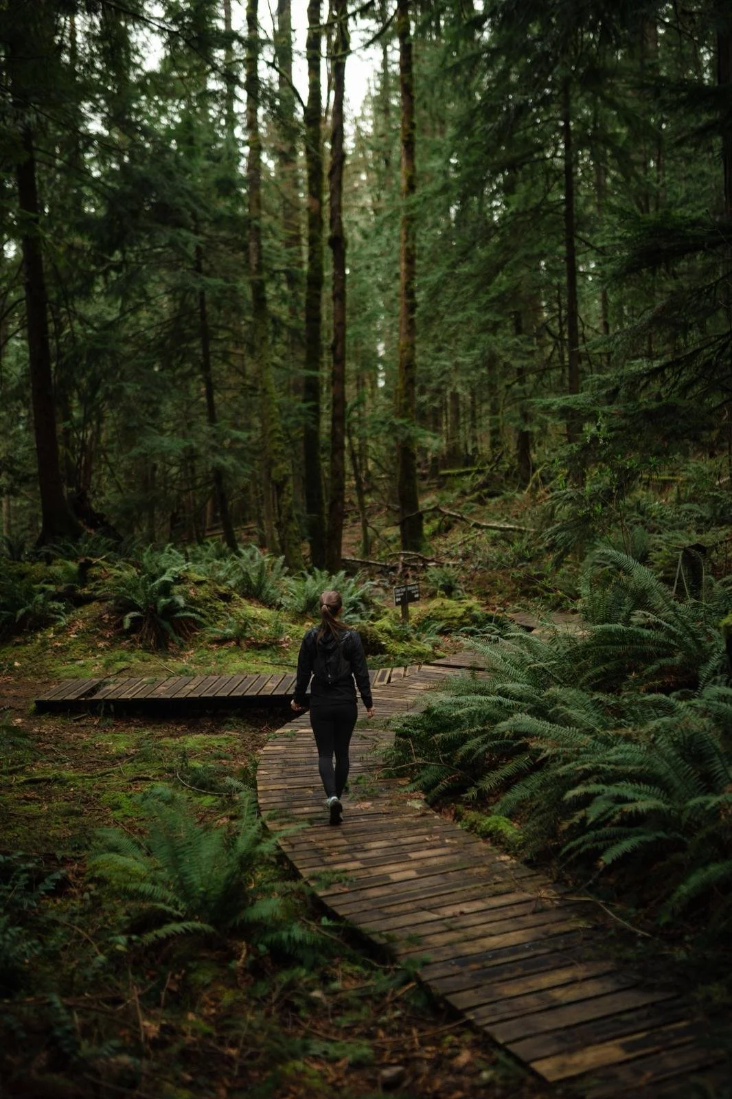 WhatsApp Image 2026-03-23 at 7.50.56 PM-6.jpeg