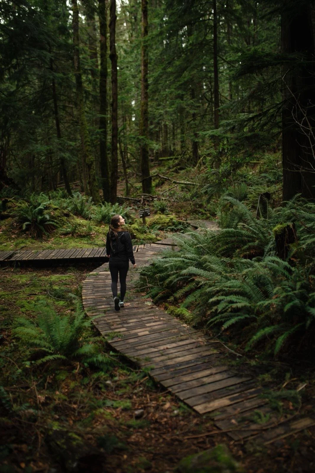 Our Favorite Spring Hikes in Chilliwack