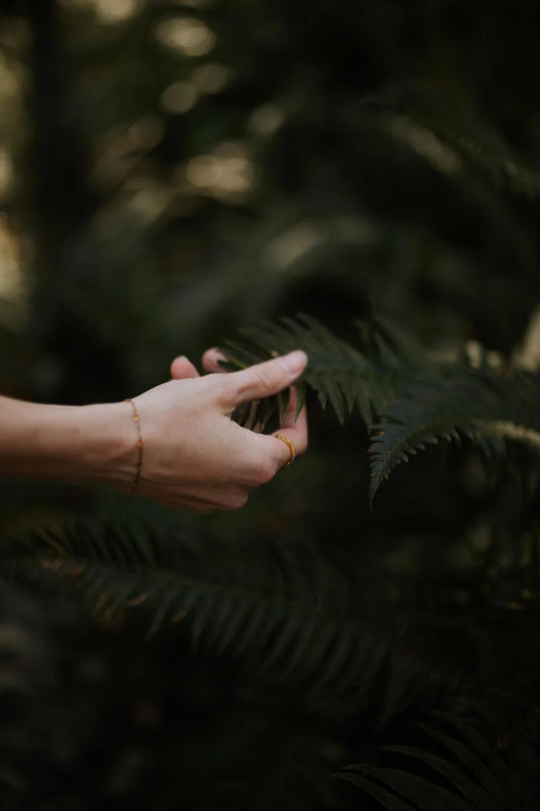 WhatsApp Image 2026-04-15 at 8.38.11 PM-10.jpeg