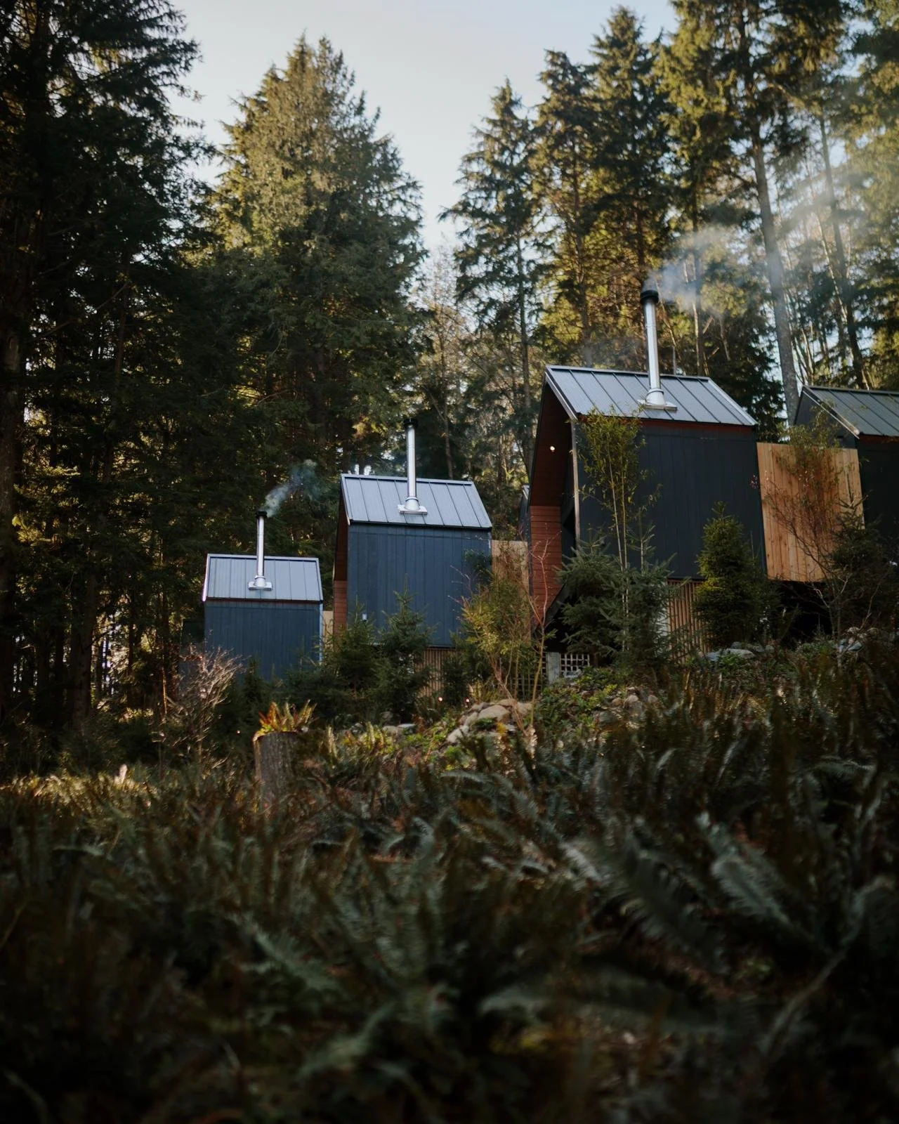 WhatsApp Image 2026-04-15 at 8.38.11 PM-8.jpeg