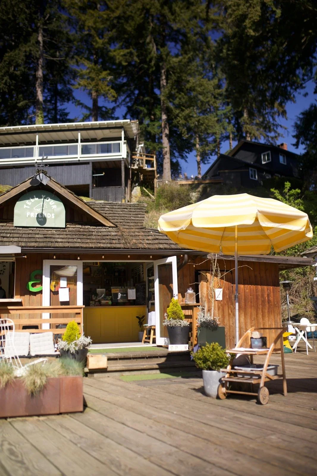 WhatsApp Image 2026-04-15 at 8.38.12 PM.jpeg