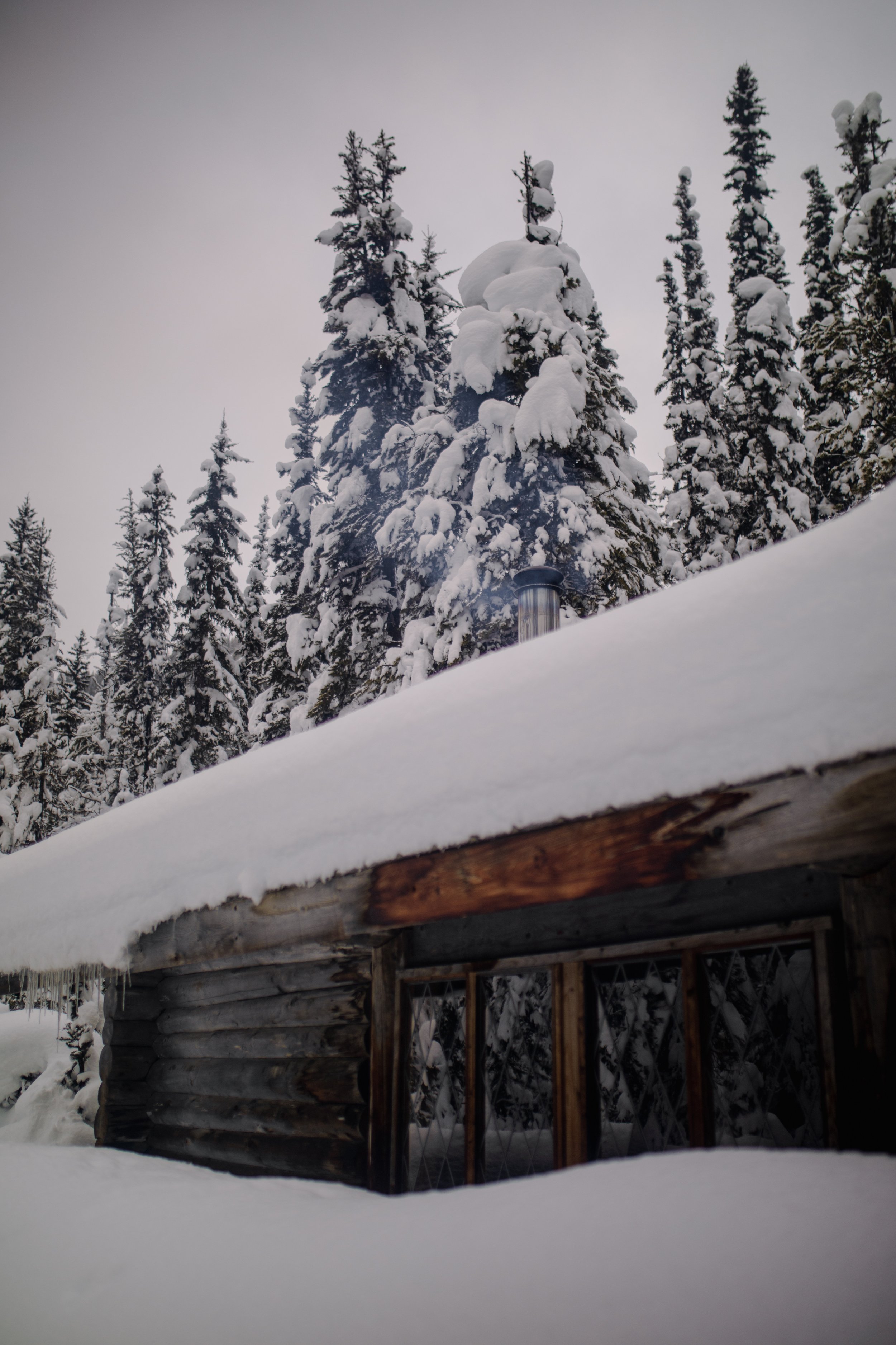 0CD25EFD-0471-4D86-859F-56BF558DB355109A1309 (2026-01-04T04_34_58.934).jpeg