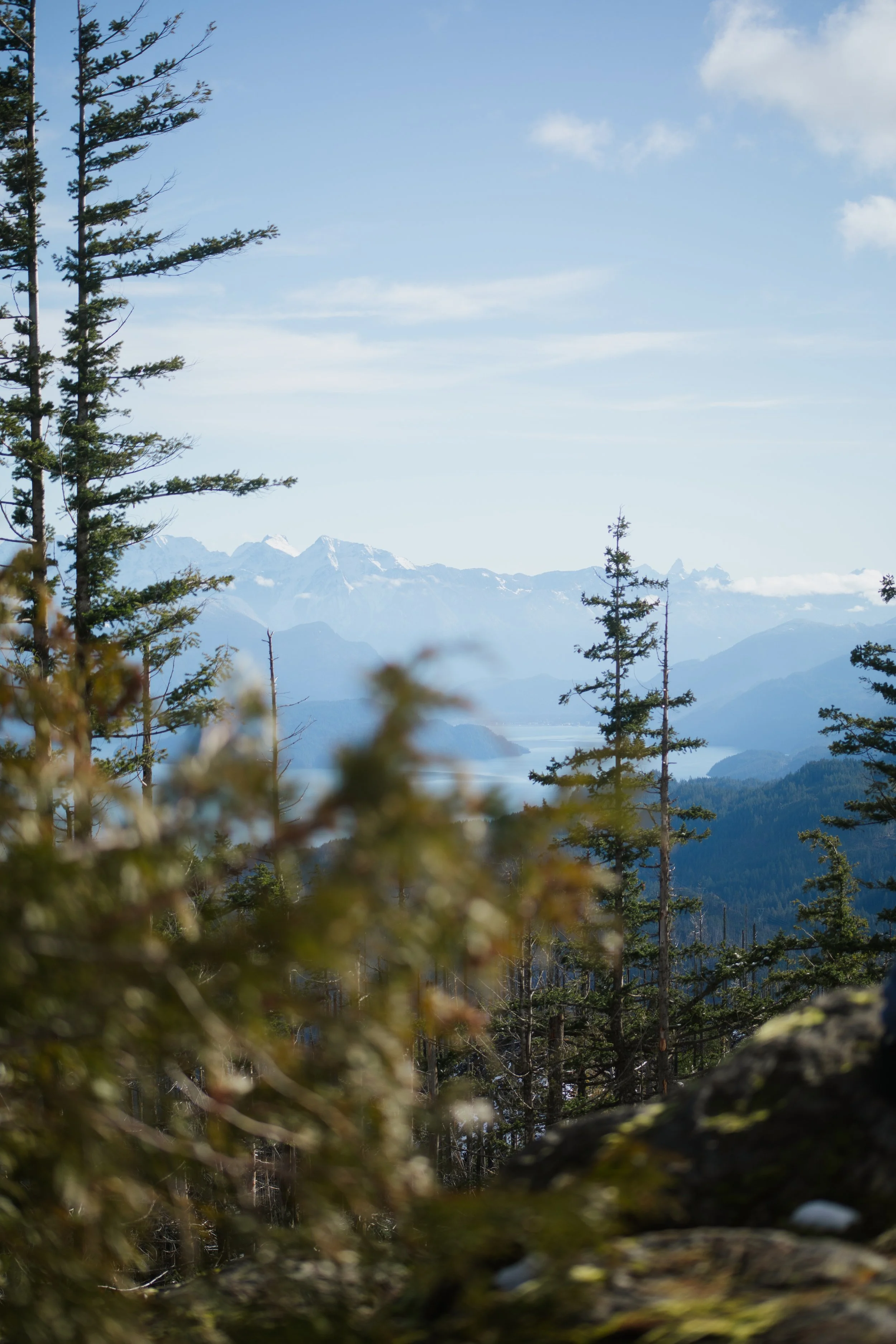 A3CEC18F-41D9-4844-8792-258B13D0D39C109A4992 (2026-02-16T01_53_04.500).jpeg