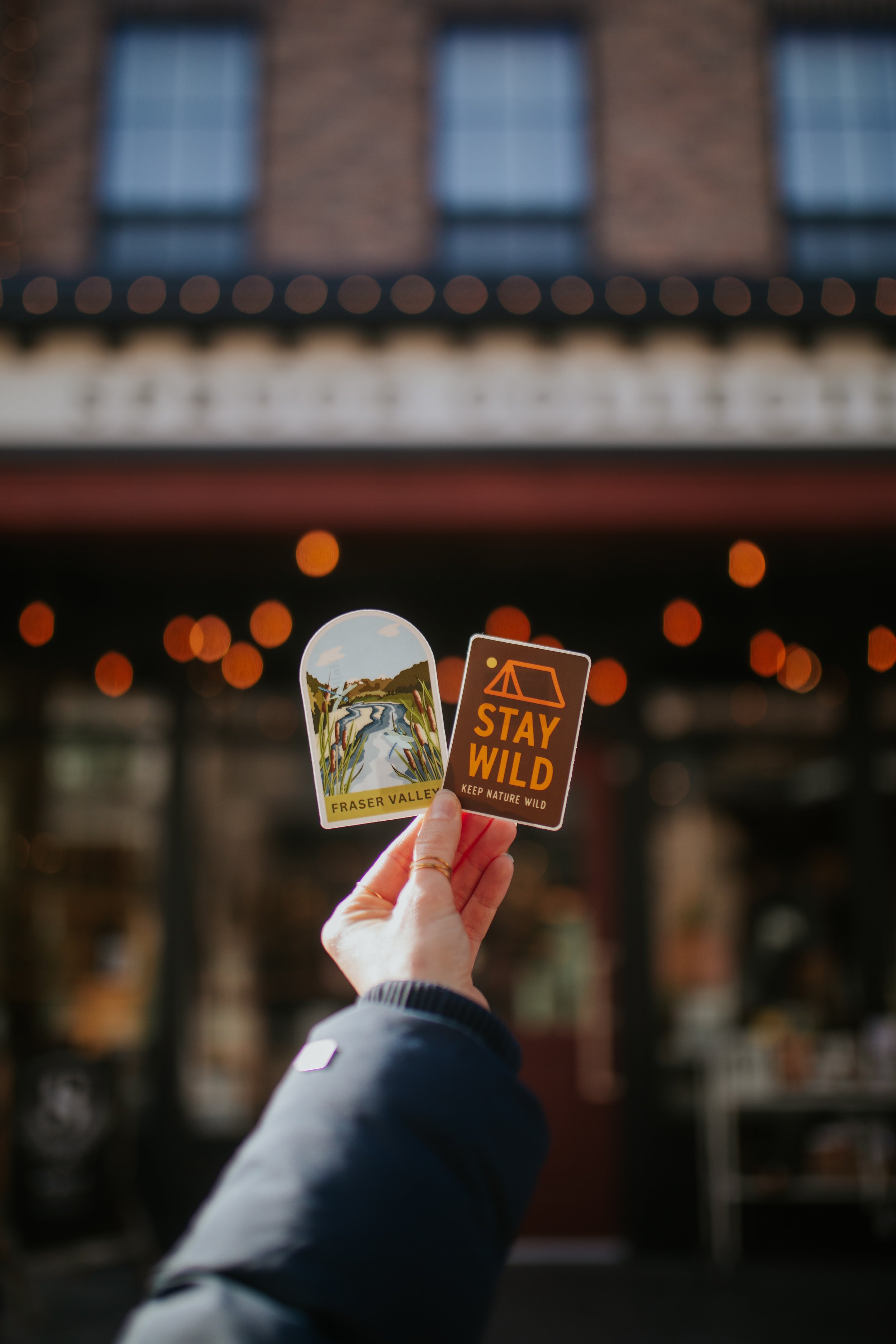 057FF01E-3A52-4758-B1D9-B12D570D1971109A5355 (2026-02-20T04_17_27.204).jpeg