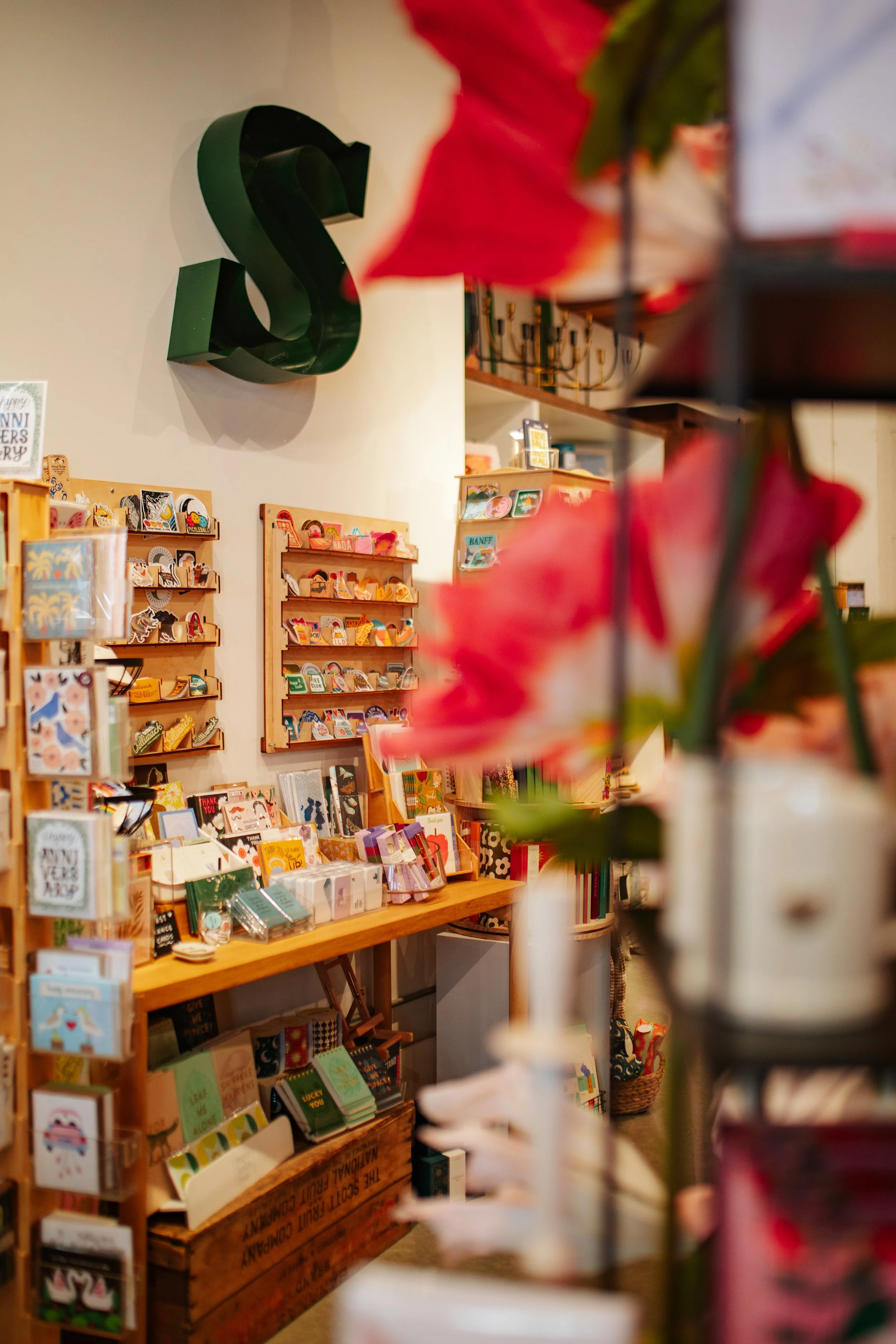 145BF0FB-646E-4257-9F66-C970E017C5F2109A5354 (2026-02-20T04_17_20.759).jpeg