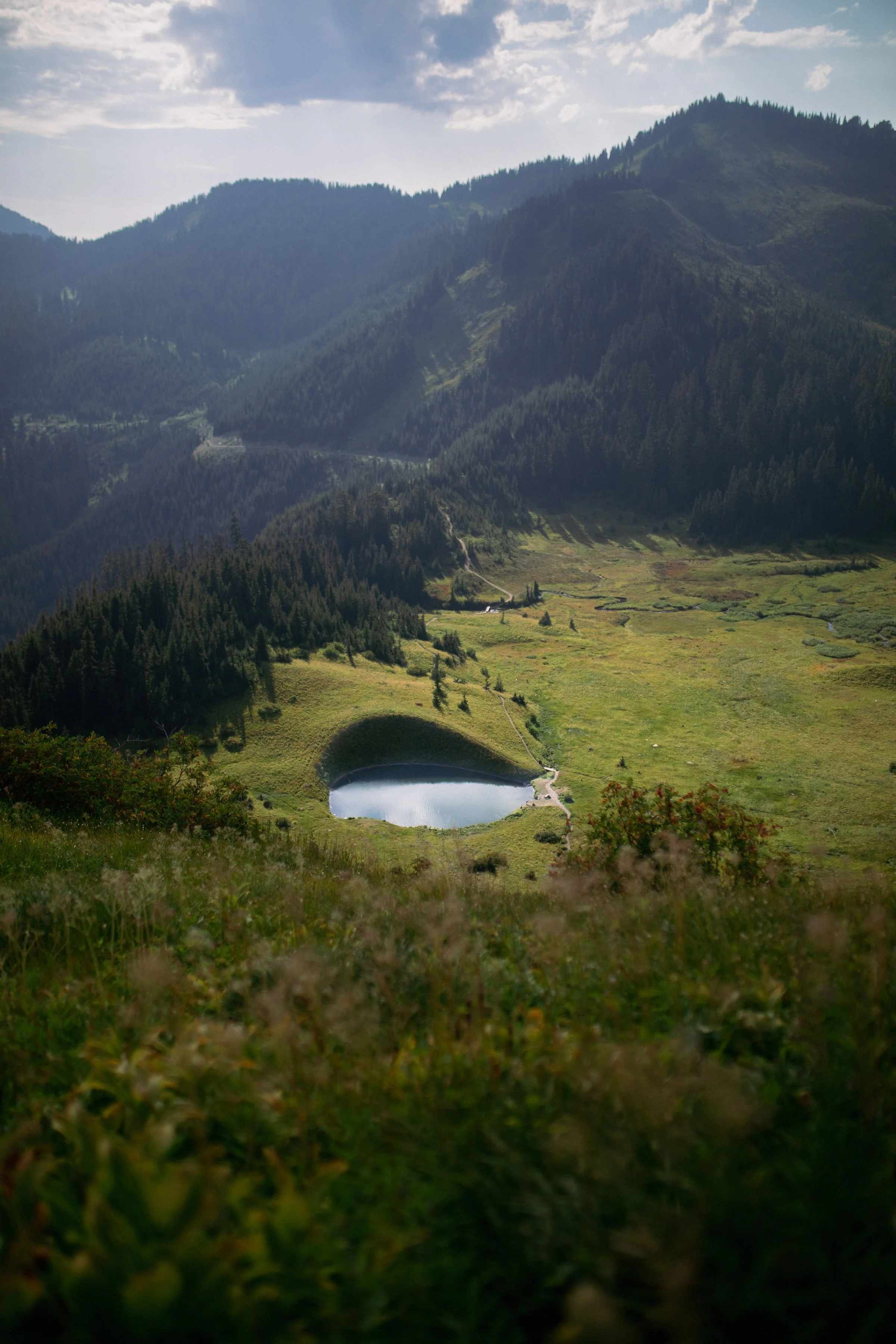 Spoon Lake.jpeg