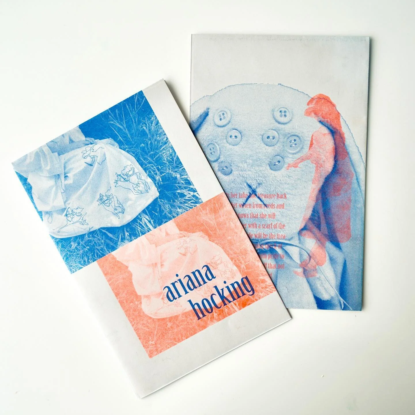 artist brochure