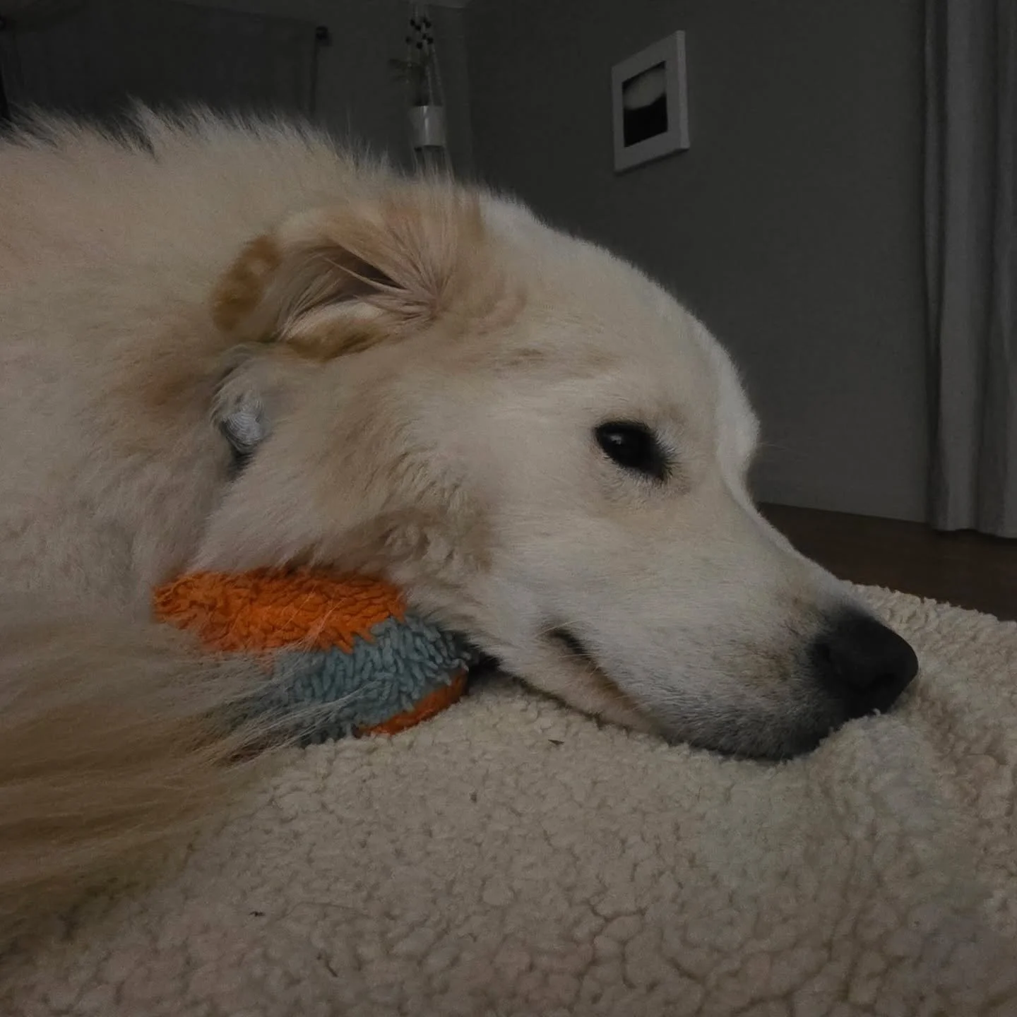 quill-sigh.jpg