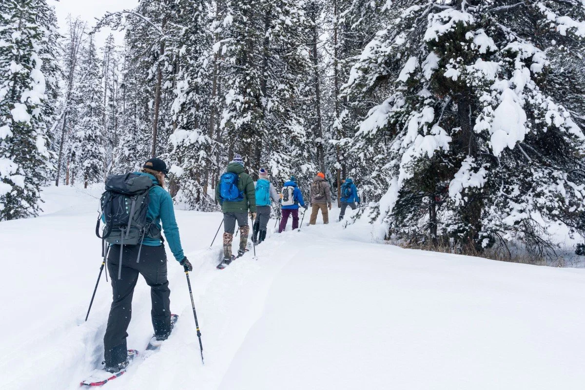 Lake Wenatchee Snowshoeing