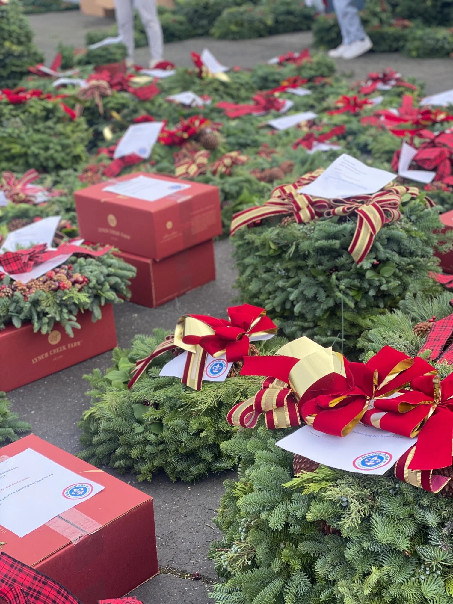 wreaths-distro.jpg