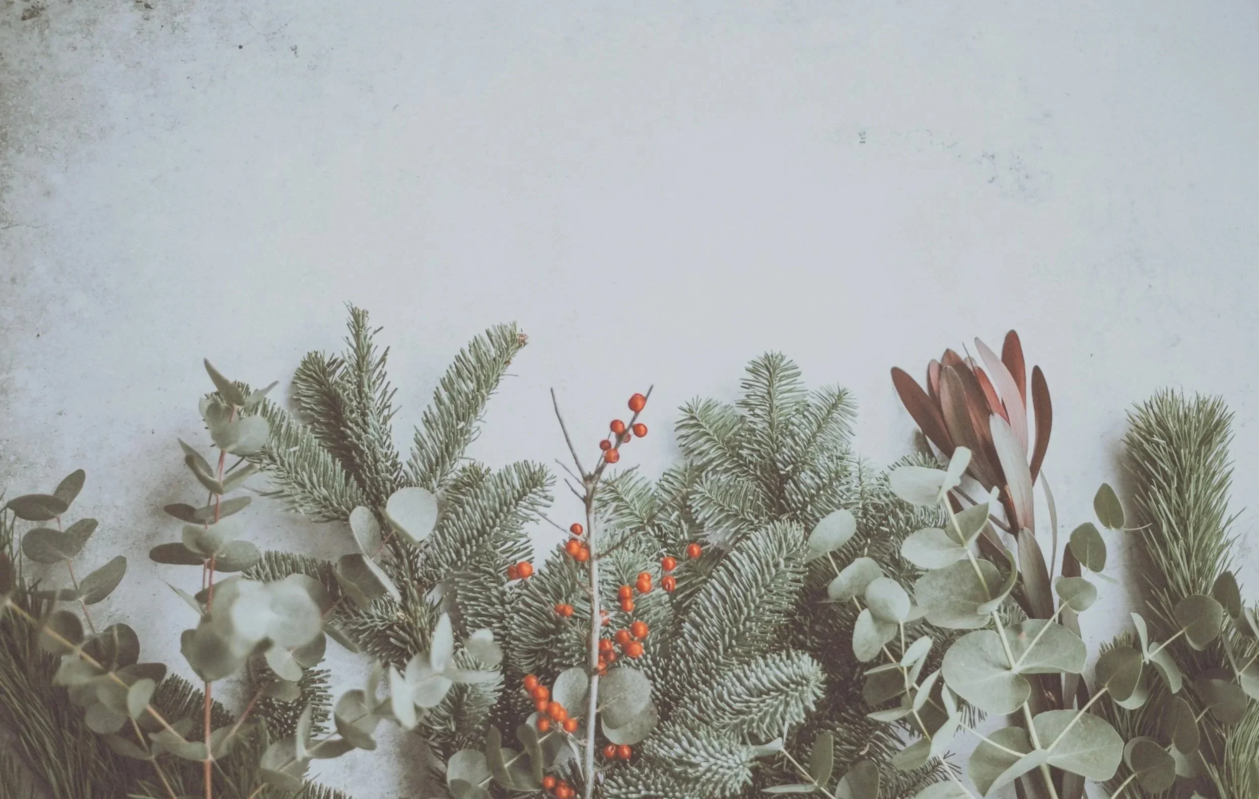 Holiday wreaths