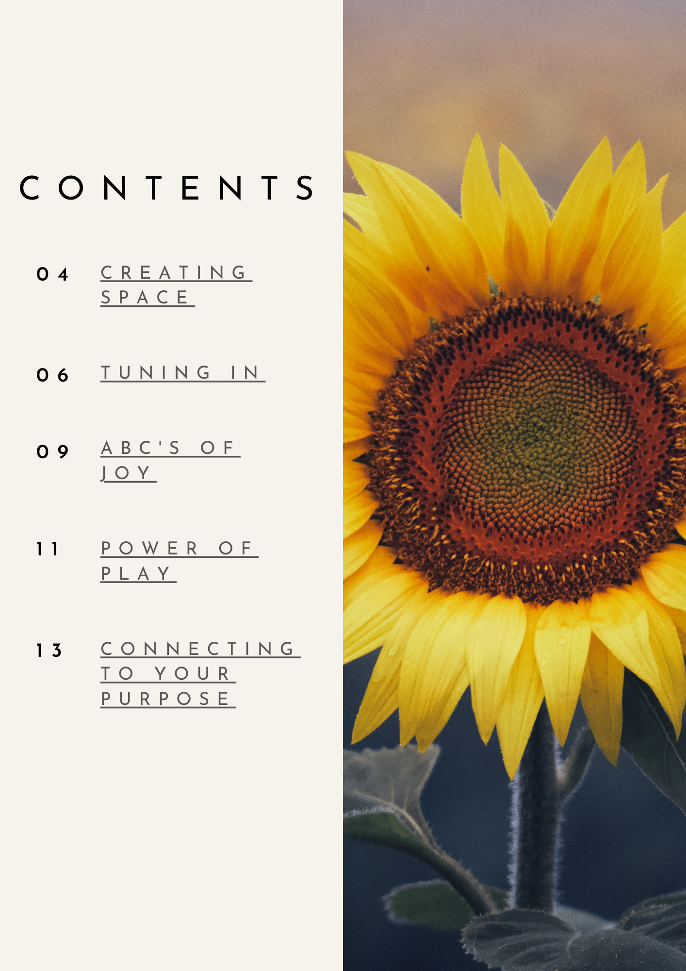 WEEK 9 Reclaiming Joy (1).png