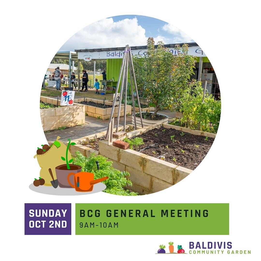 Our rescheduled General Meeting is now on Sunday October 2nd at 9am.

All is welcome! Come and have a chat and see what we are getting up to!

 #gardeninglife #communitygarden #baldiviswa #communitygardens #communitygardening #cityofrockingham #baldi