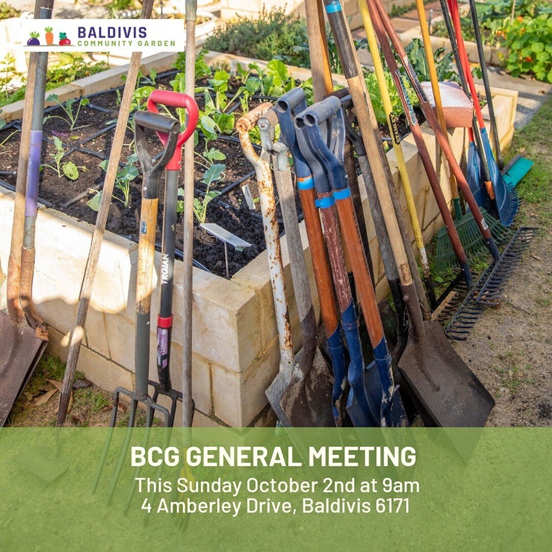 Our General Meeting is on this Sunday! 

Head down to the garden to have a chat about what we are doing here at BCG! Community imput it always welcome 🌻 

'Plant a Seed, Grow a Community'

 #gardeninglife #communitygarden #baldiviswa #communitygarde