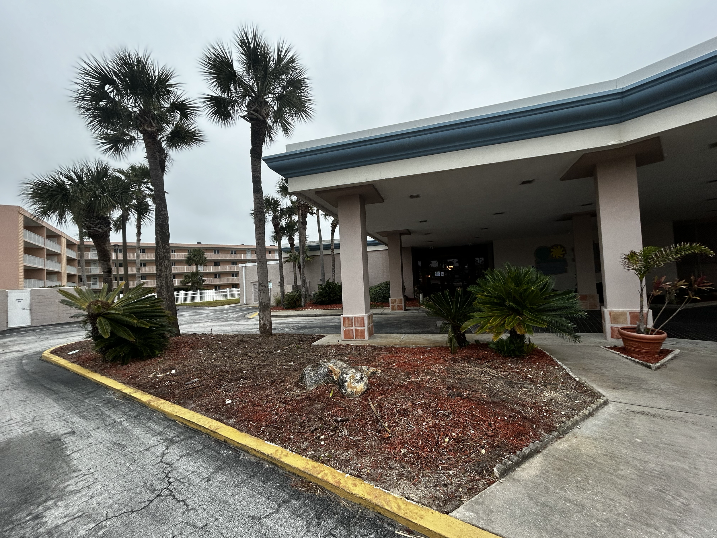 Before of landscaping project in The Beach Club at St. Augustine
