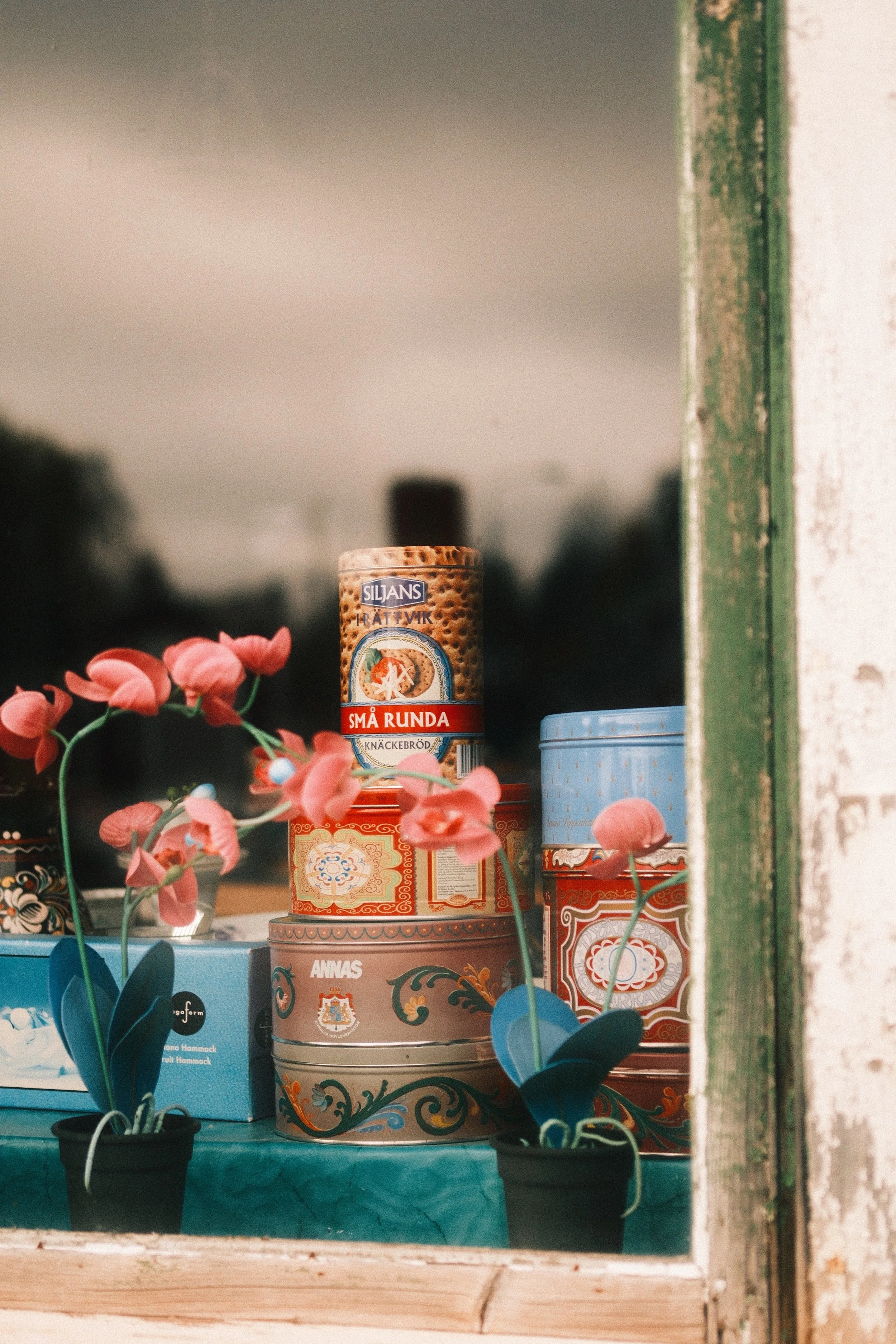 DSCF7252_VSCO.JPG