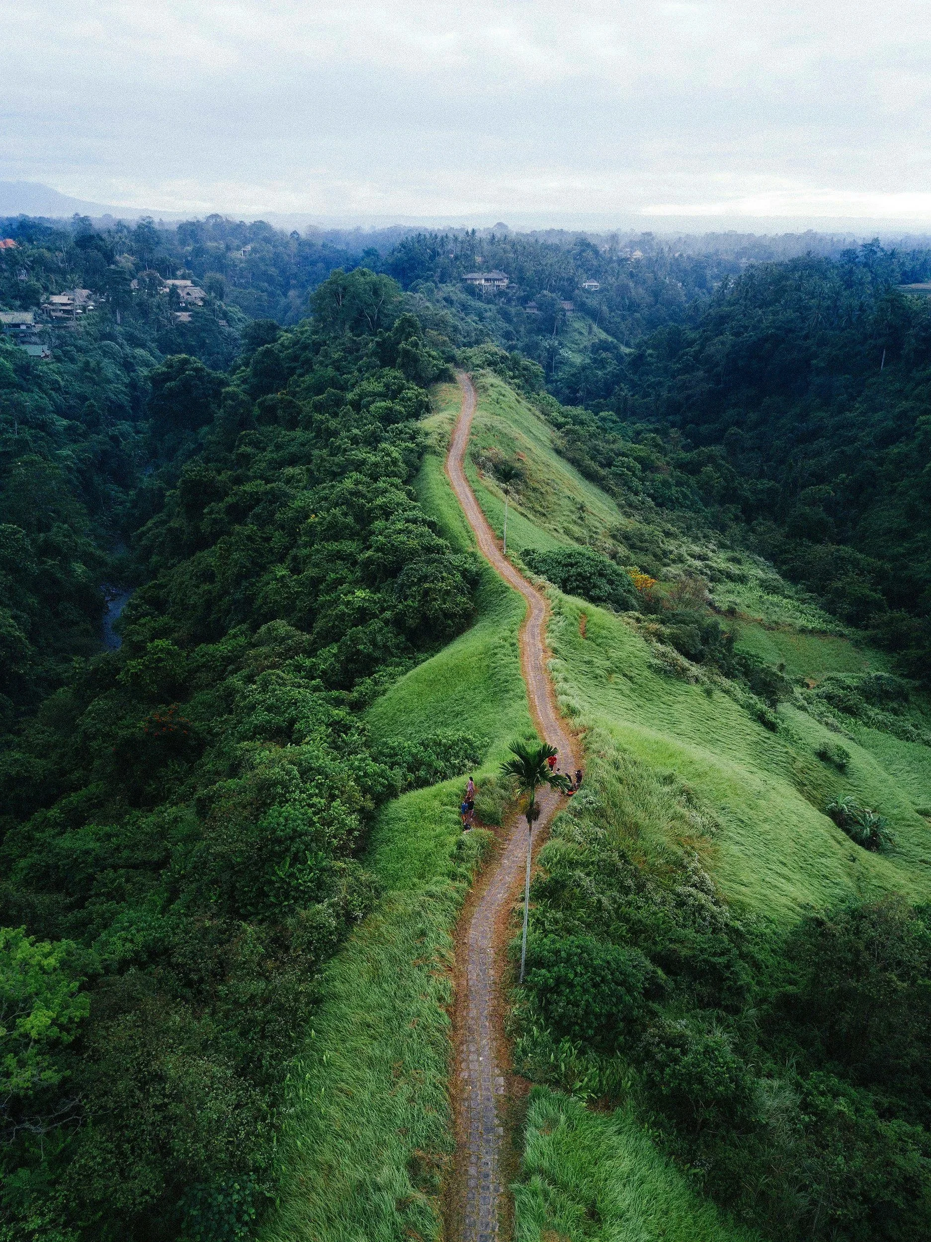 unsplash-image-a8lTjWJJgLA.jpg