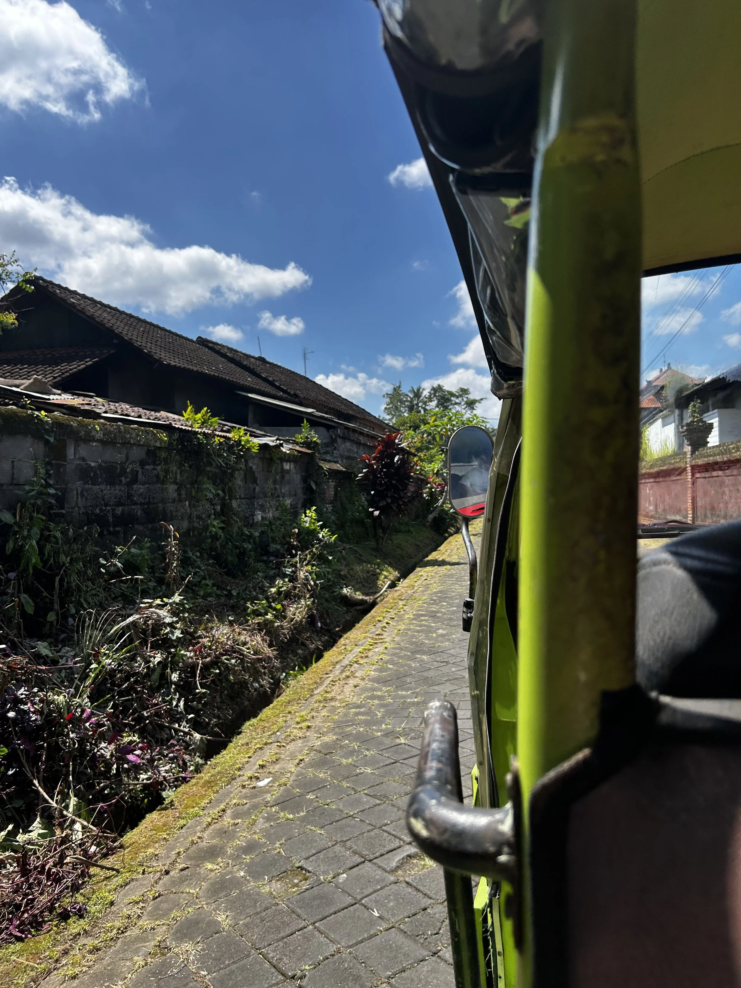 IMG_3683.jpeg