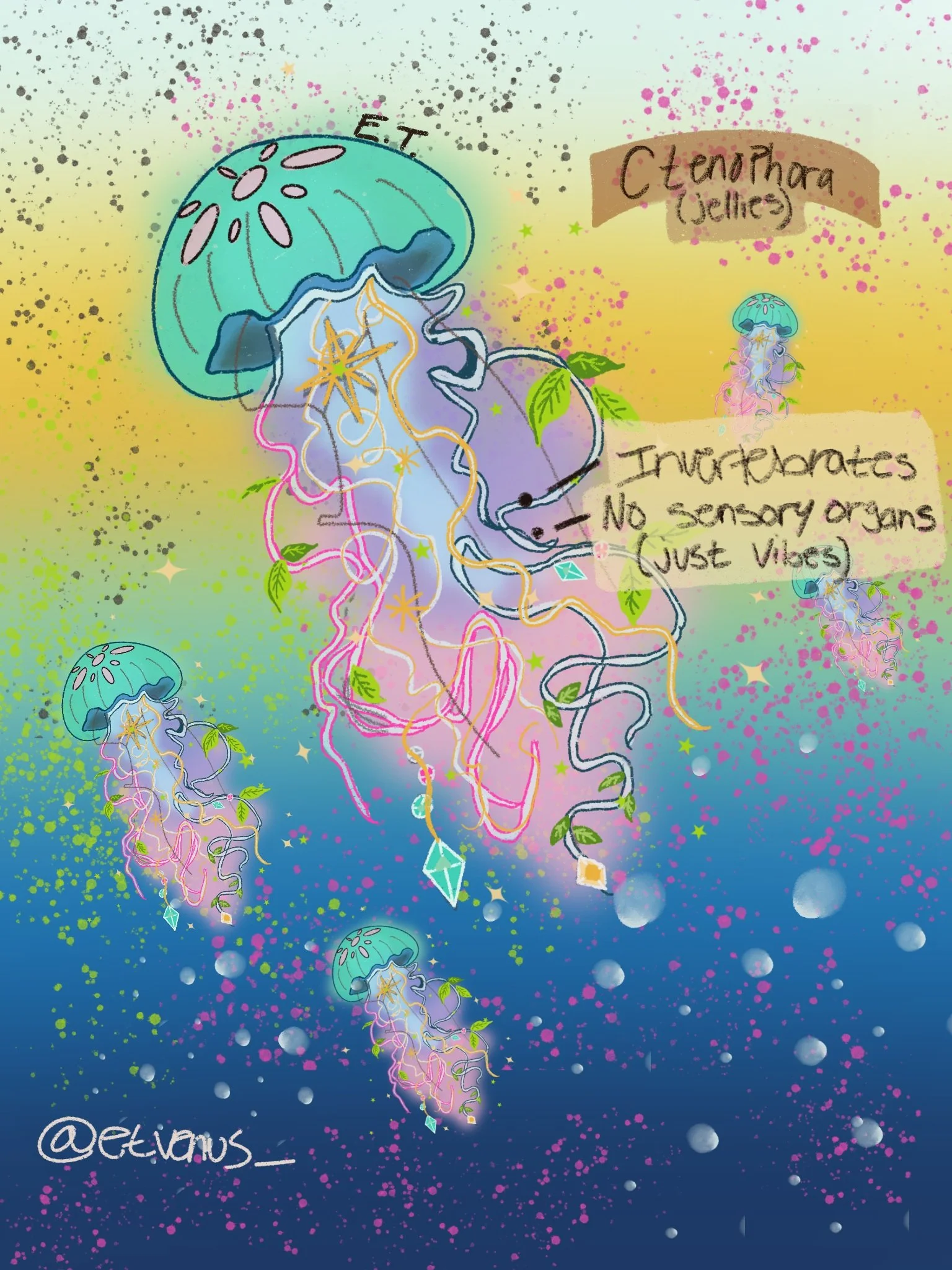 Ctenophora/ Jellies Prints! Jellies are known for their lack of a nervous system which. they just float around and vibe until they find food. Oh what a life.