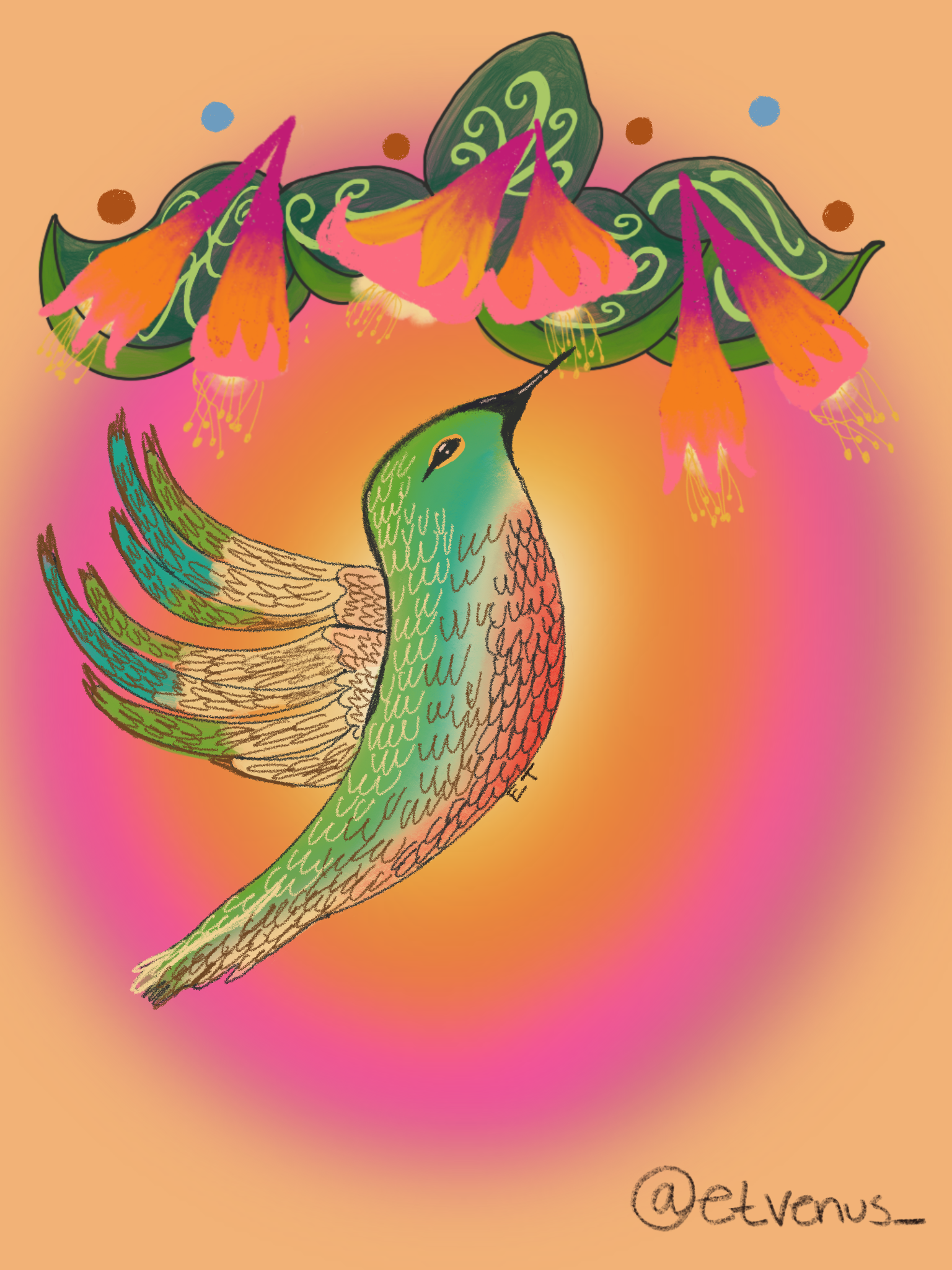Hummingbird Prints. Humming birds are one of the most interesting pollinators in my opinion. They are cute and dainty, and float like little pollination fairies. 