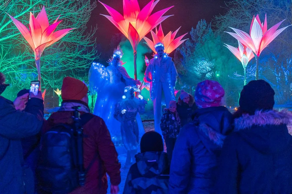 People watching an outdoor nighttime light installation featuring large, illuminated, pink and orange flower structures and characters in costumes with glowing lights.
