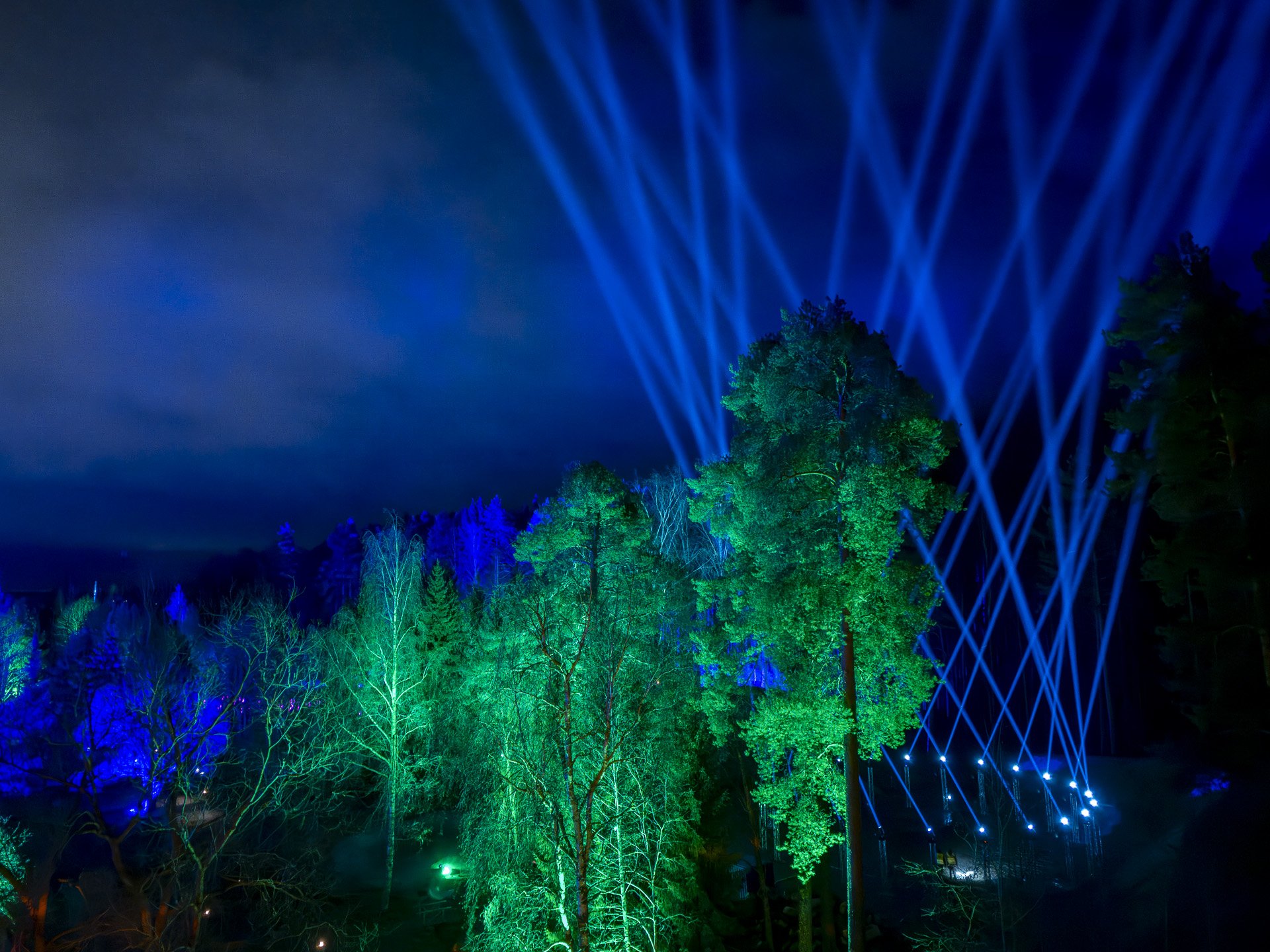 DJI_20241129215048_0191_D-Enhanced-NR.jpg