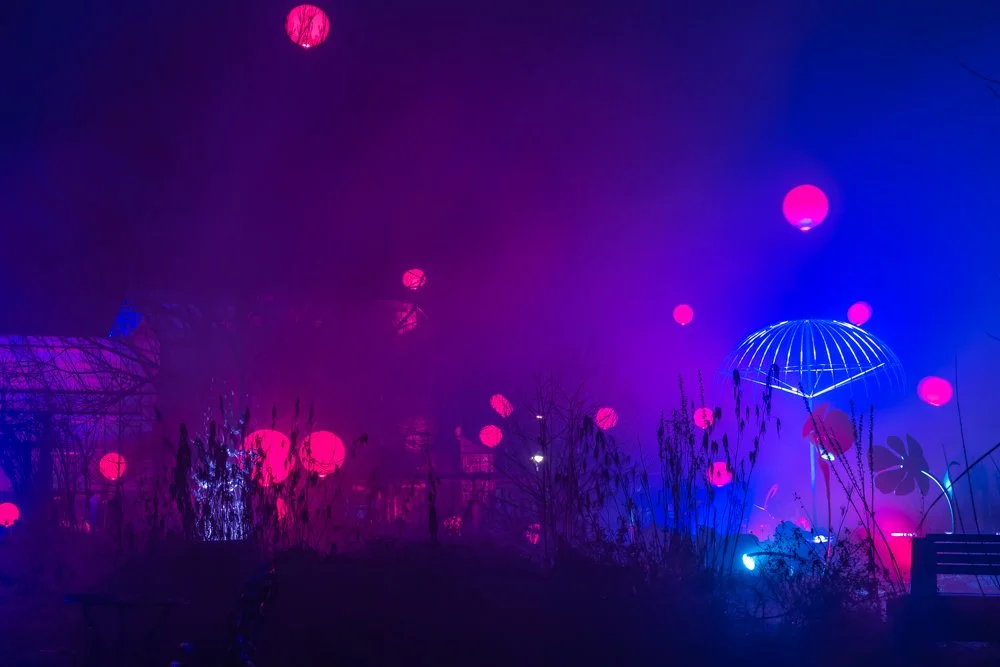 Visual Festival, Botania Kari Kola