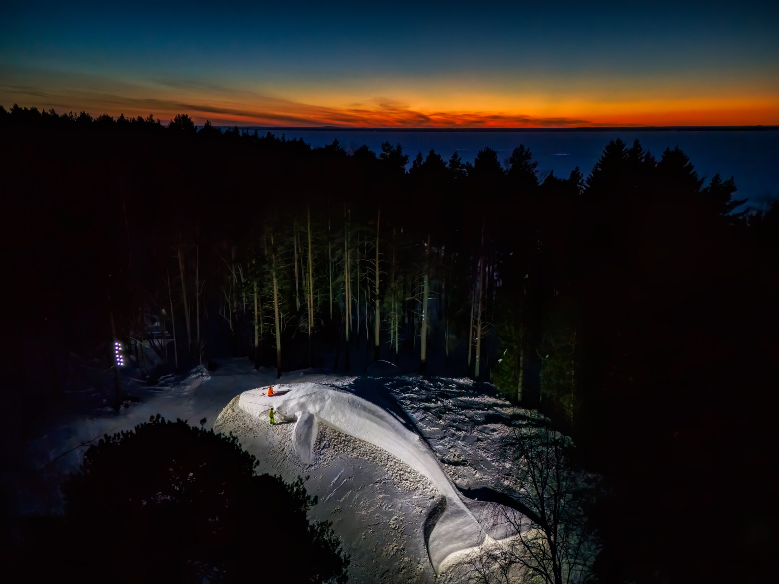 Kari Kola, Snow whale