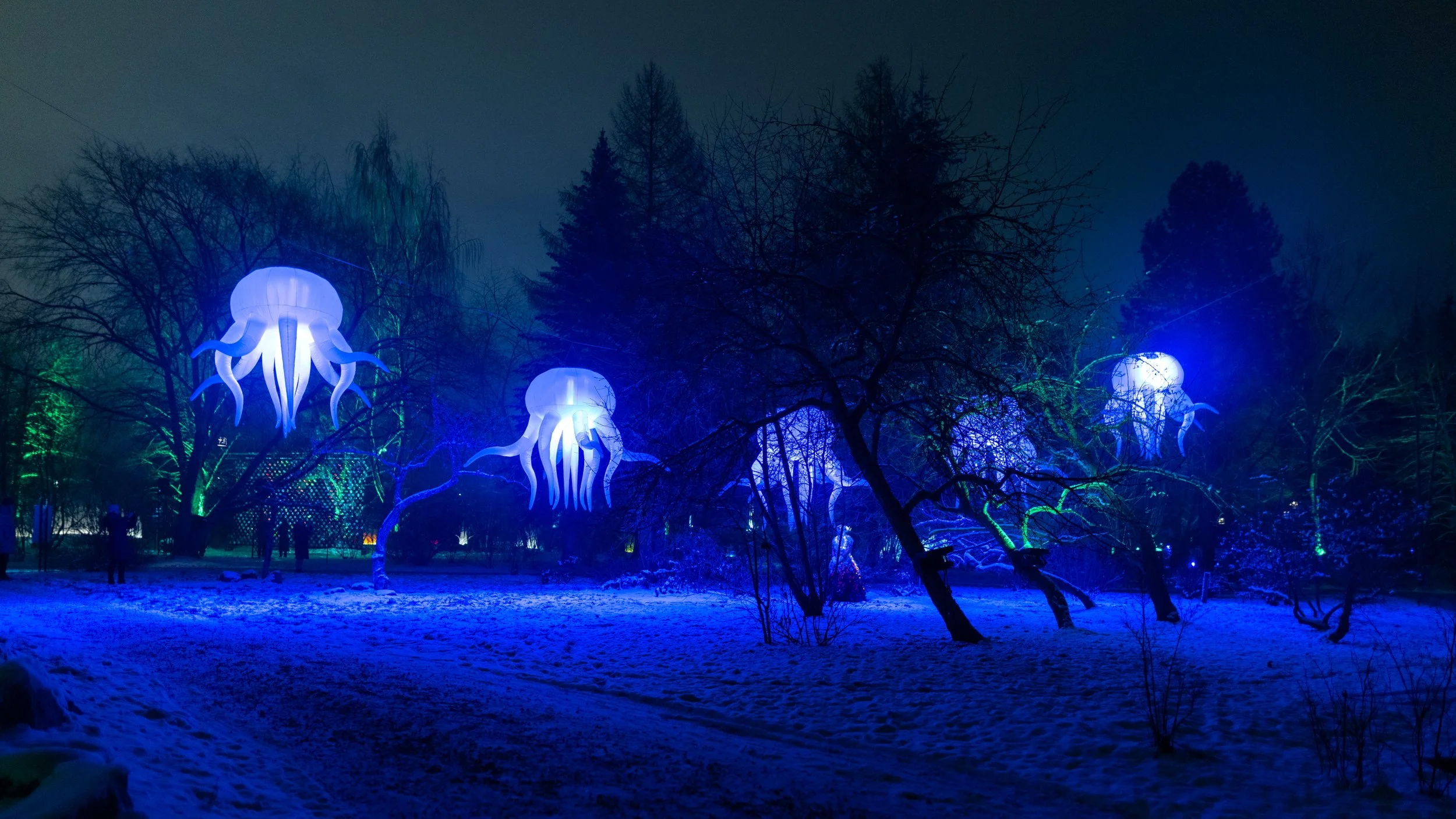 VisualFest2025_Torstai_Rami_Saarikorpi (1).jpg