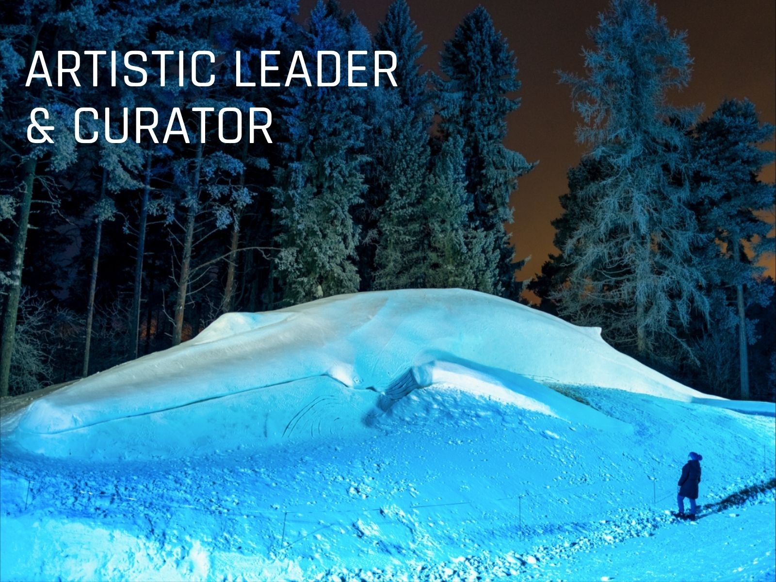 Artistic leader, director and curator