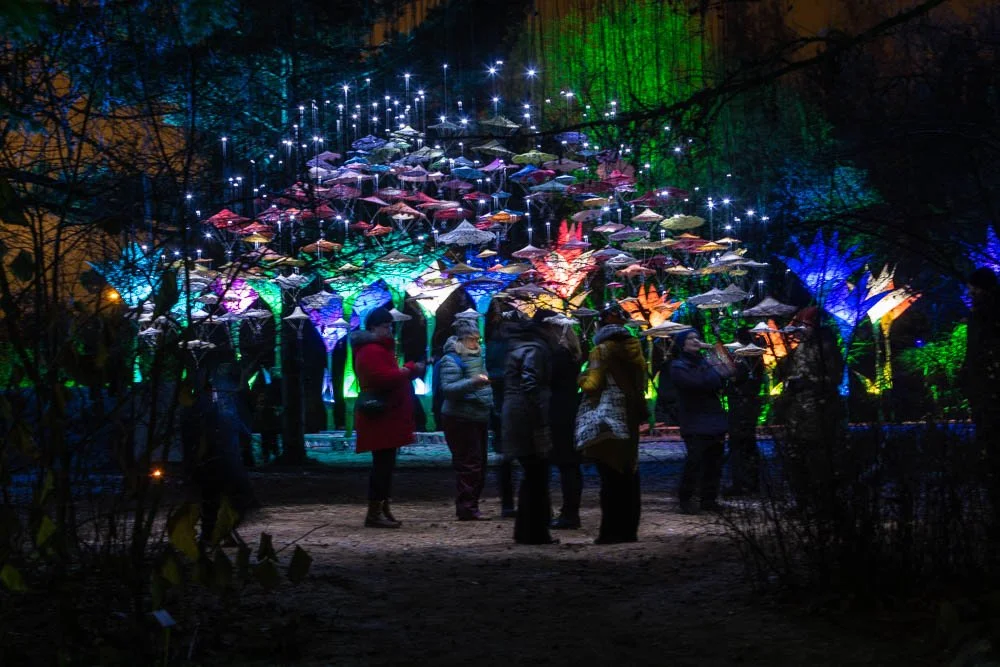 People holding umbrellas illuminated by colorful lights at night in a park or garden with light displays and trees in the background.