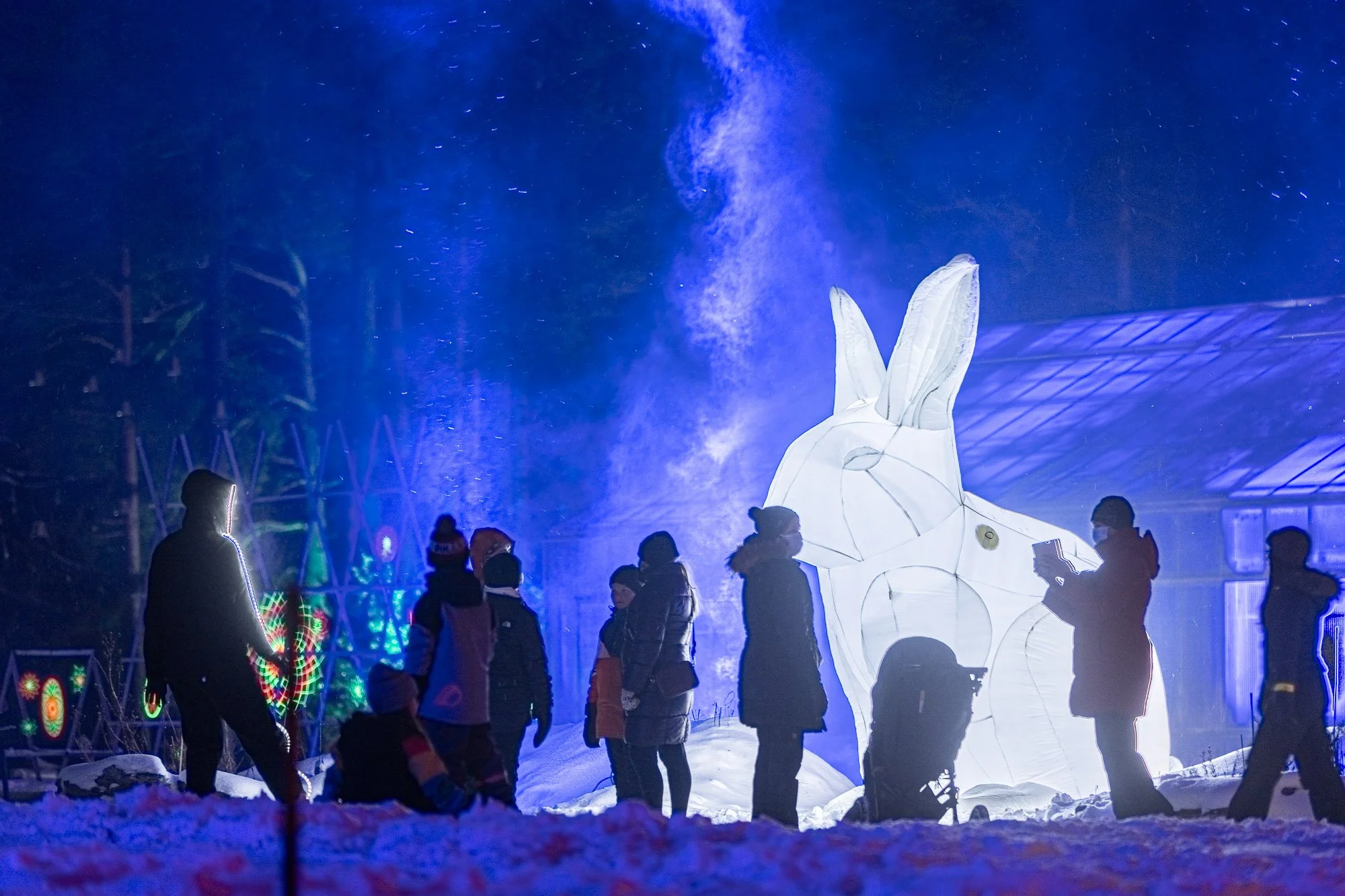 Visual Festival, 2021, Amanda Parer