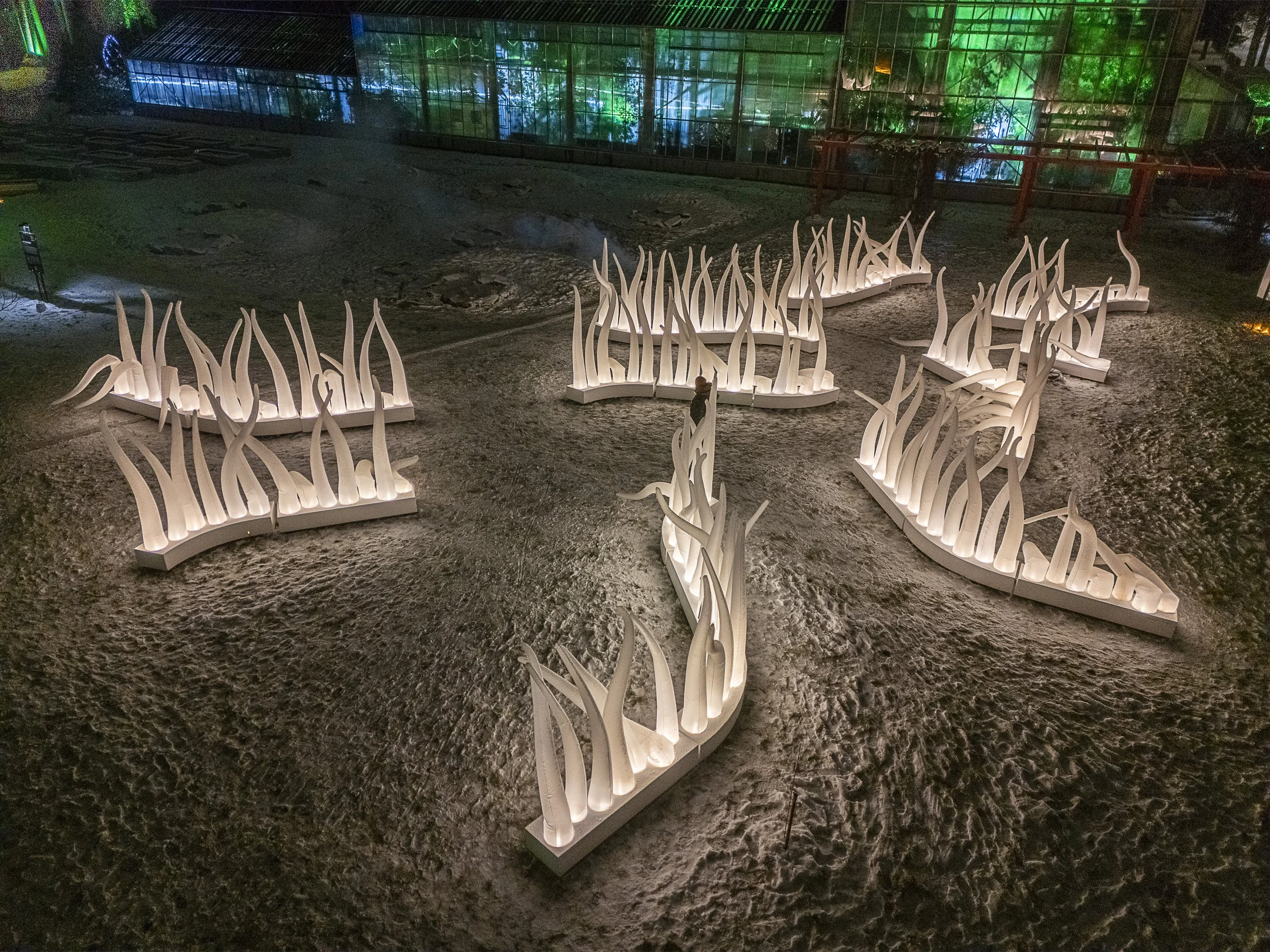 DJI_20251120210011_0227_D-HDR (4).jpg