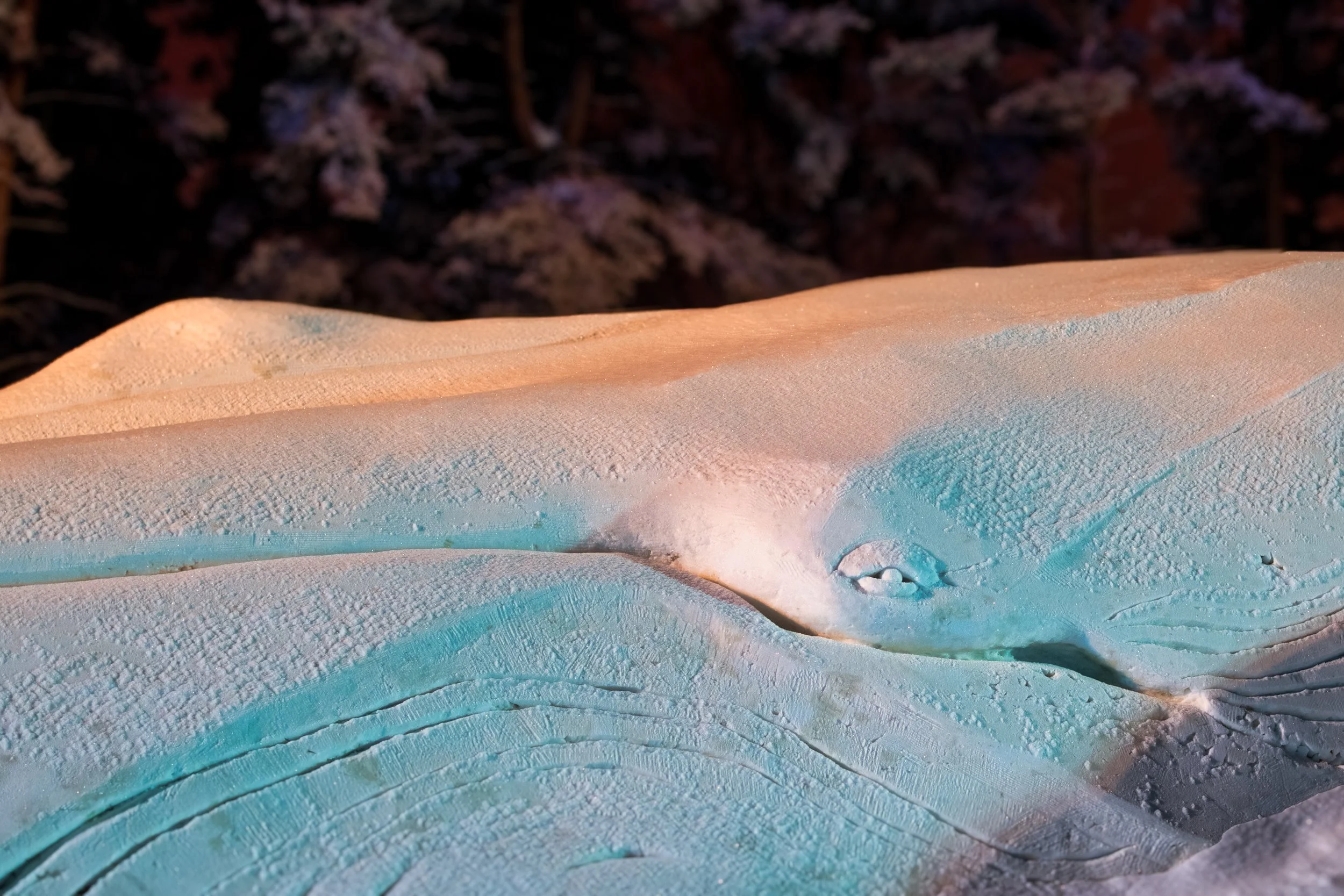 Kari Kola, Snow whale