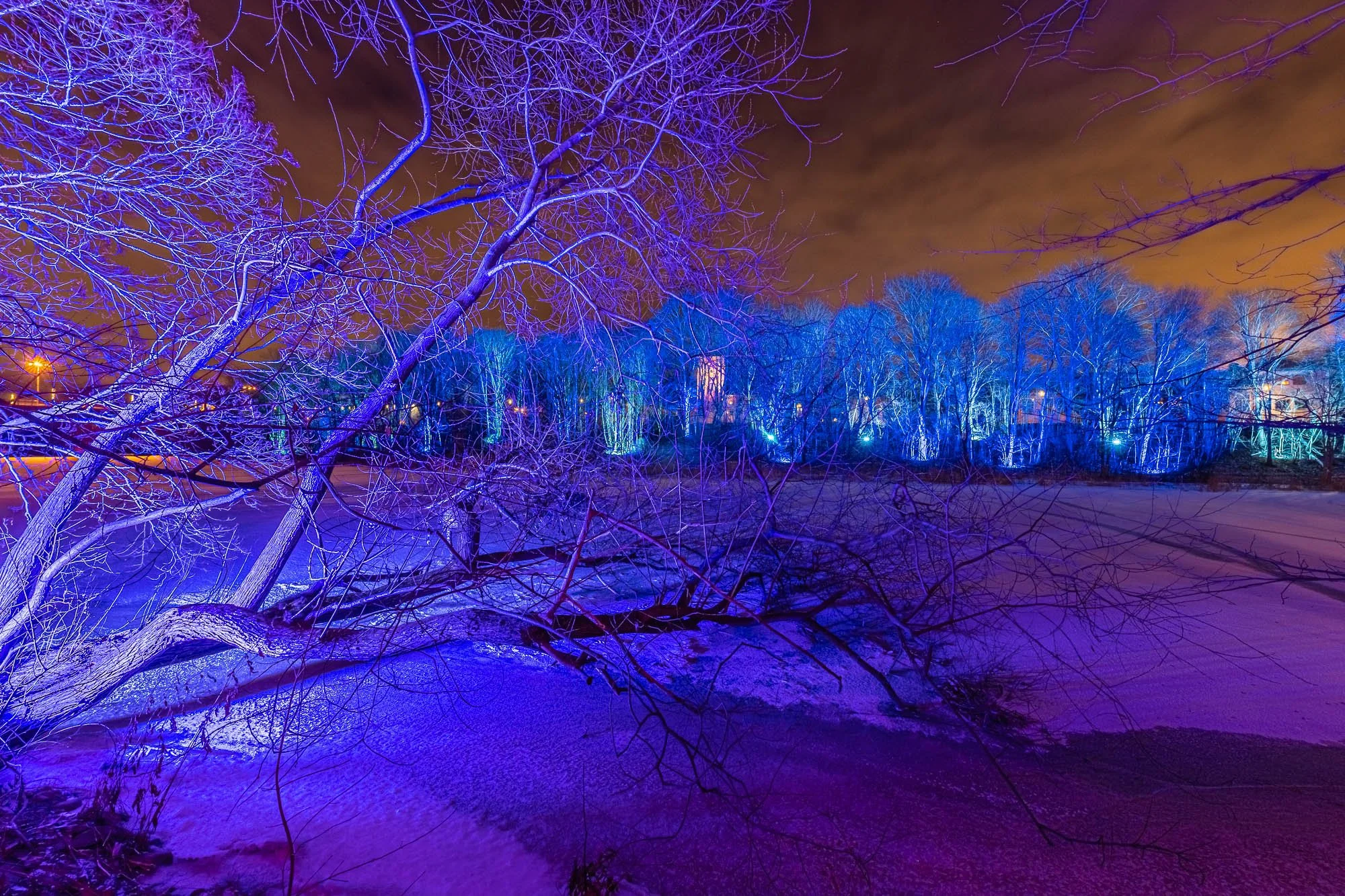 JLR60122-HDR.jpg